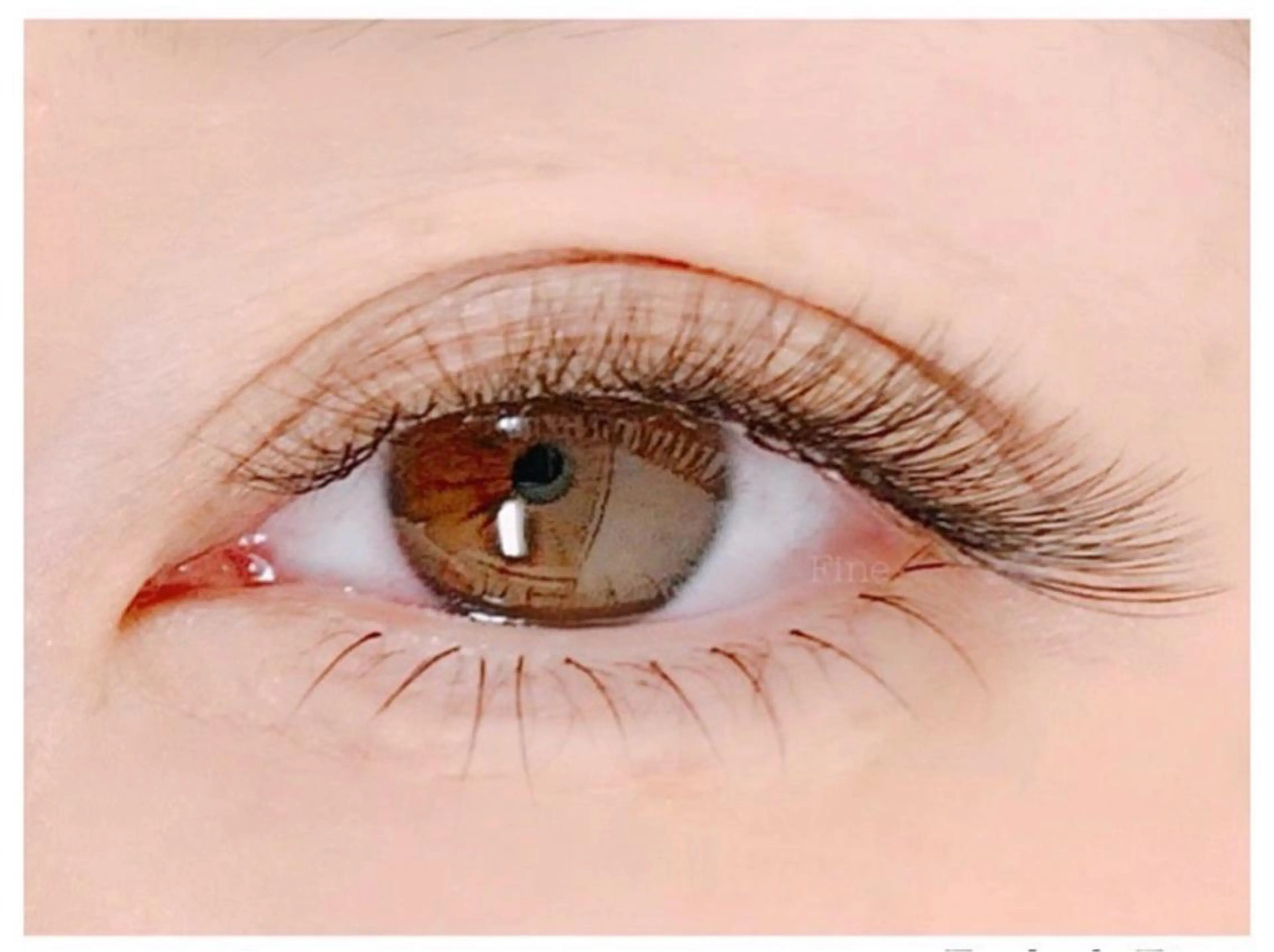 マツエク・マツパ ボリュームラッシュ Fine eyelas/eyebrow所属・Fine スタッフのマツエク・マツパデザイン