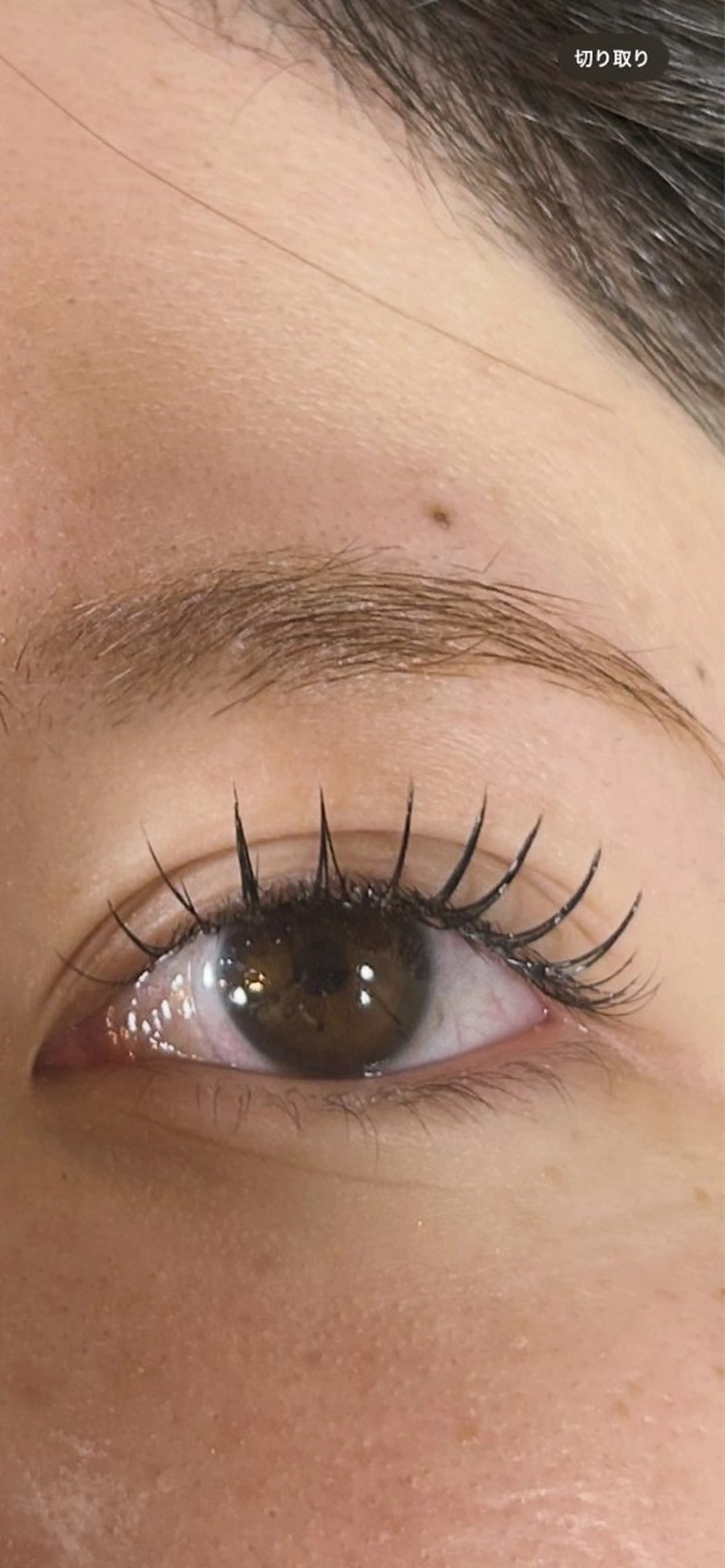 マツエク・マツパ Styleborn×BURCH所属・eyelash Hikaruの眉毛・アイブロウイメージ