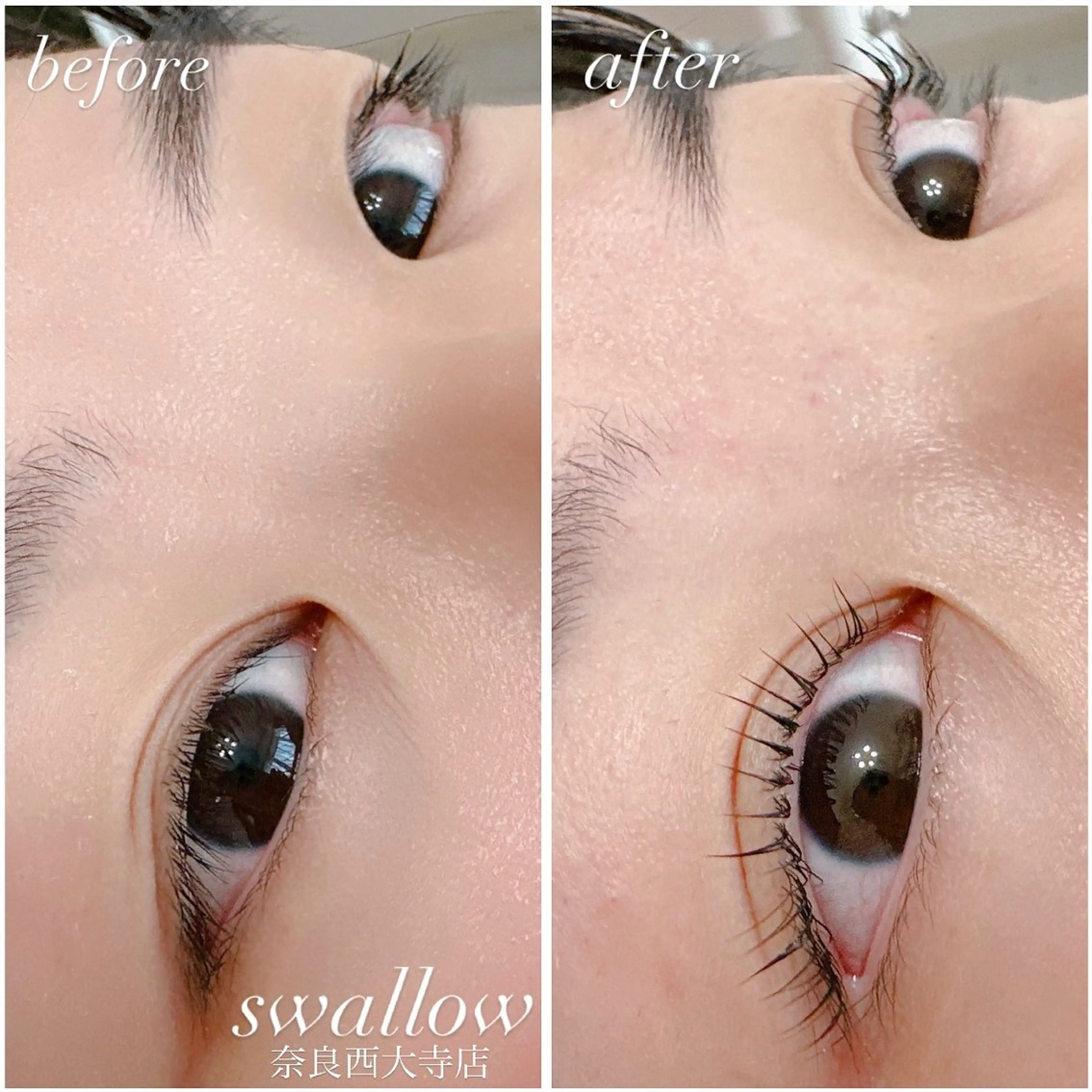 マツエク・マツパ swallow 奈良西大寺店のマツエク・マツパデザイン
