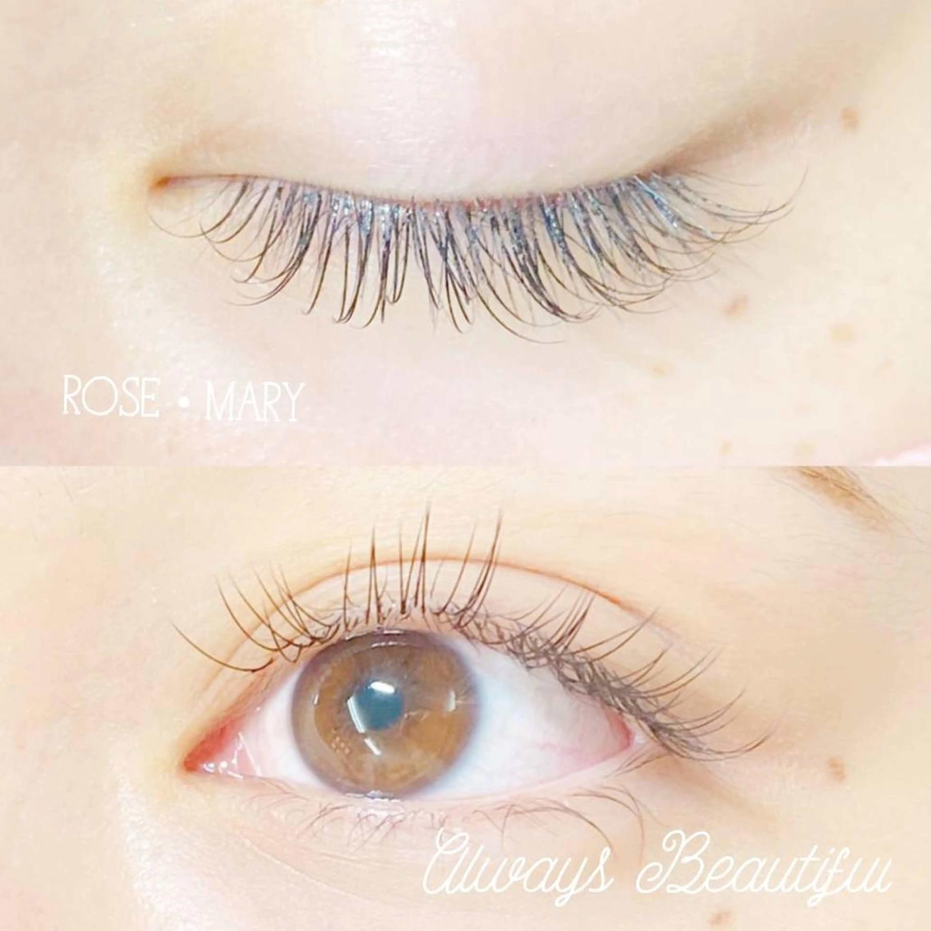 マツエク・マツパ Cカール マツエク ROSE MARY 大竹のマツエク・マツパデザイン