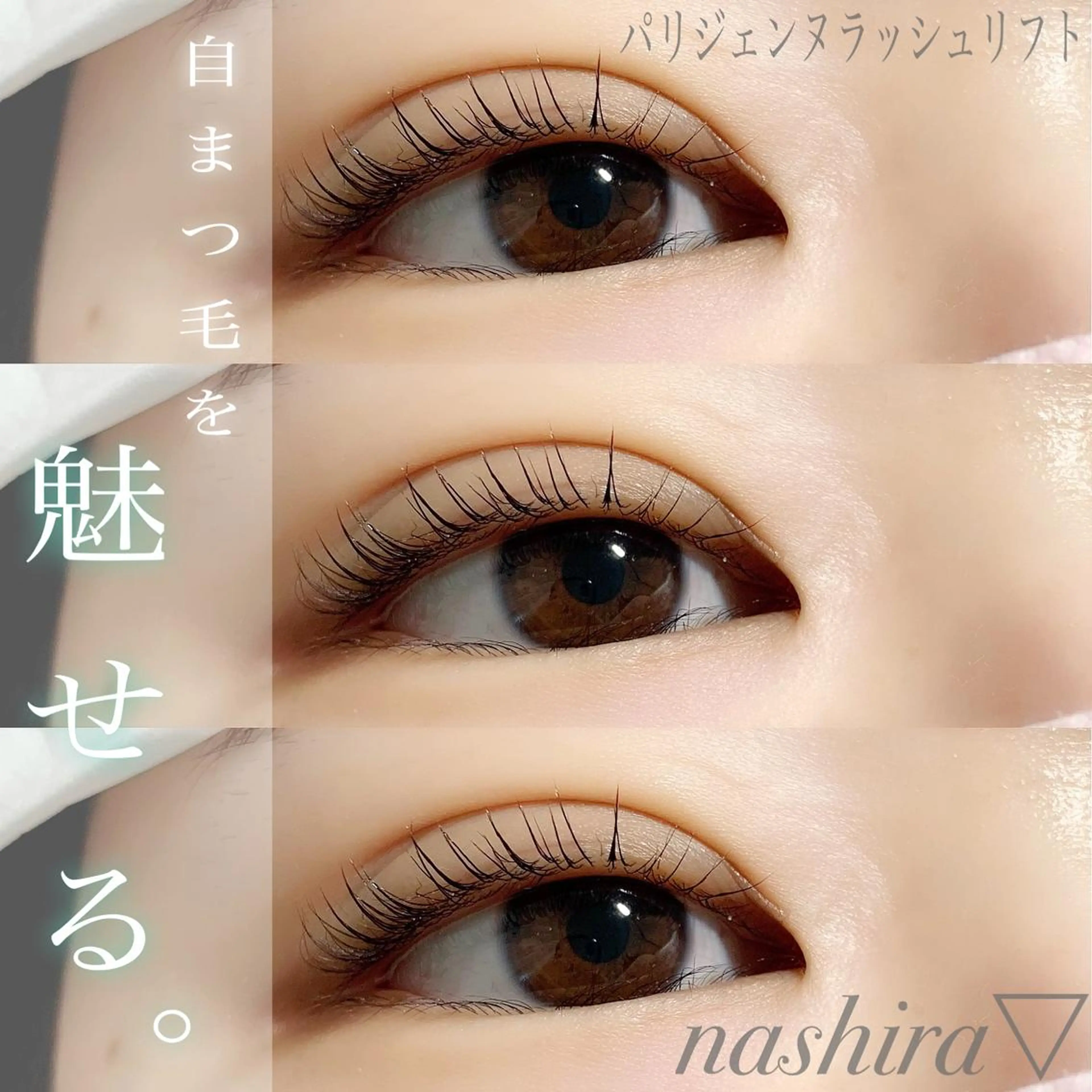 マツエク・マツパ パリジェンヌラッシュリフト 一重×まつ毛パーマ マツパ nashira -ナシラ- 恵比寿のマツエク・マツパデザイン