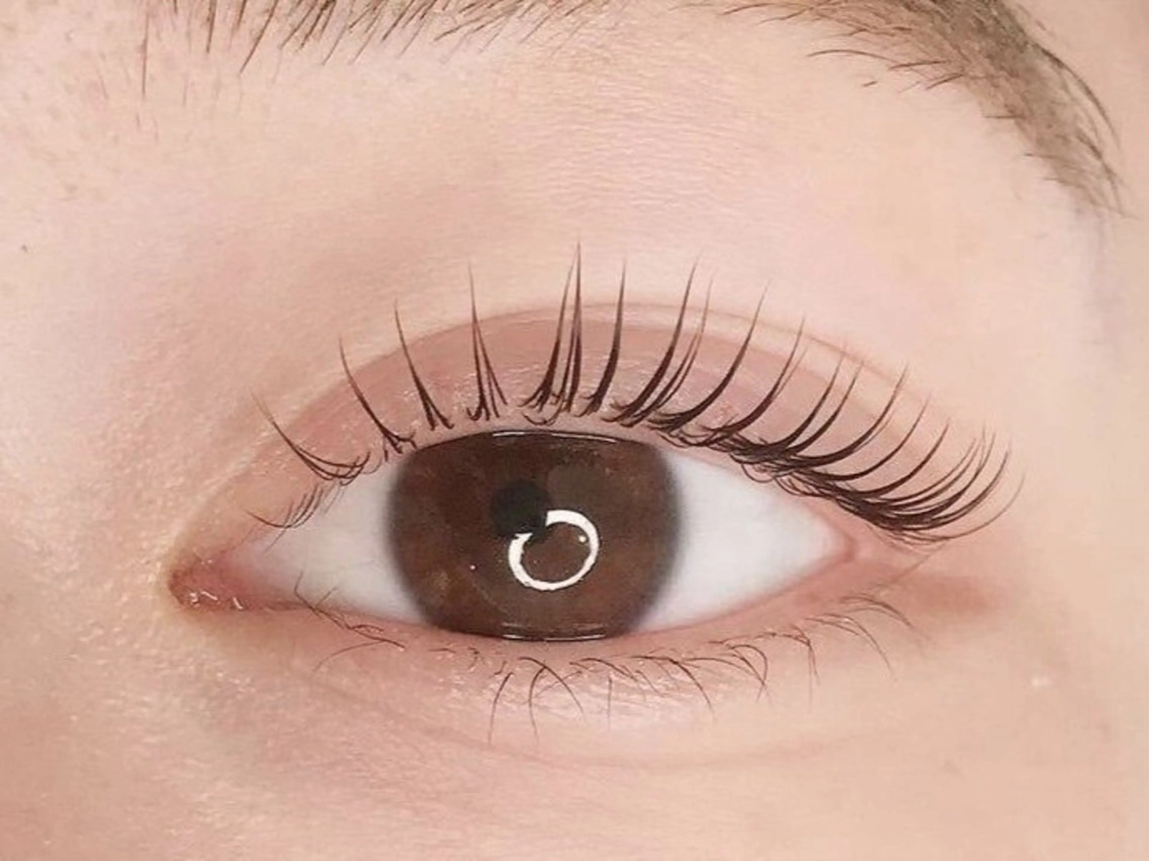 まつげパーマの写真
