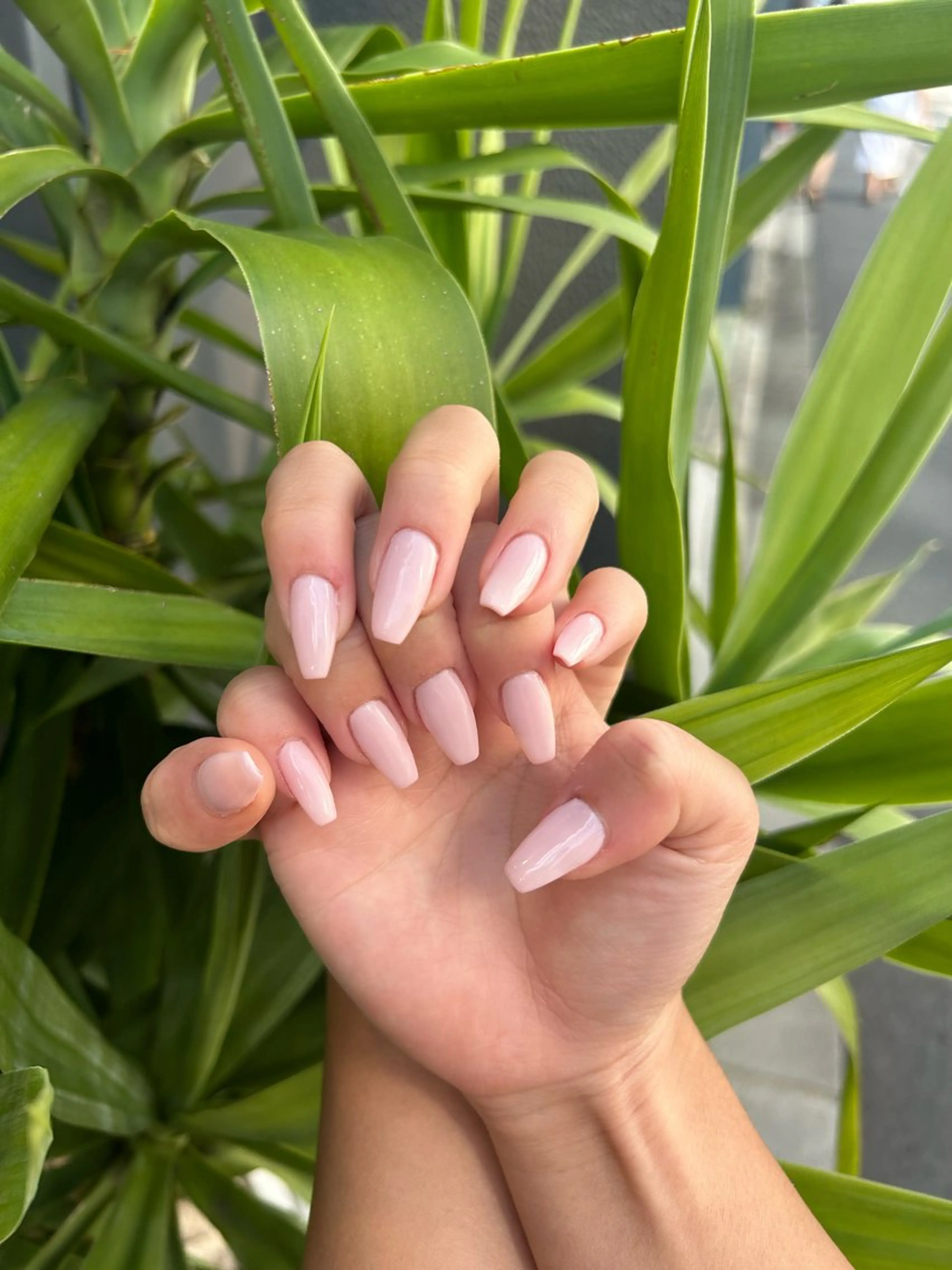 ネイル Zen Neo 🪸YUKINE🪸のネイルデザイン