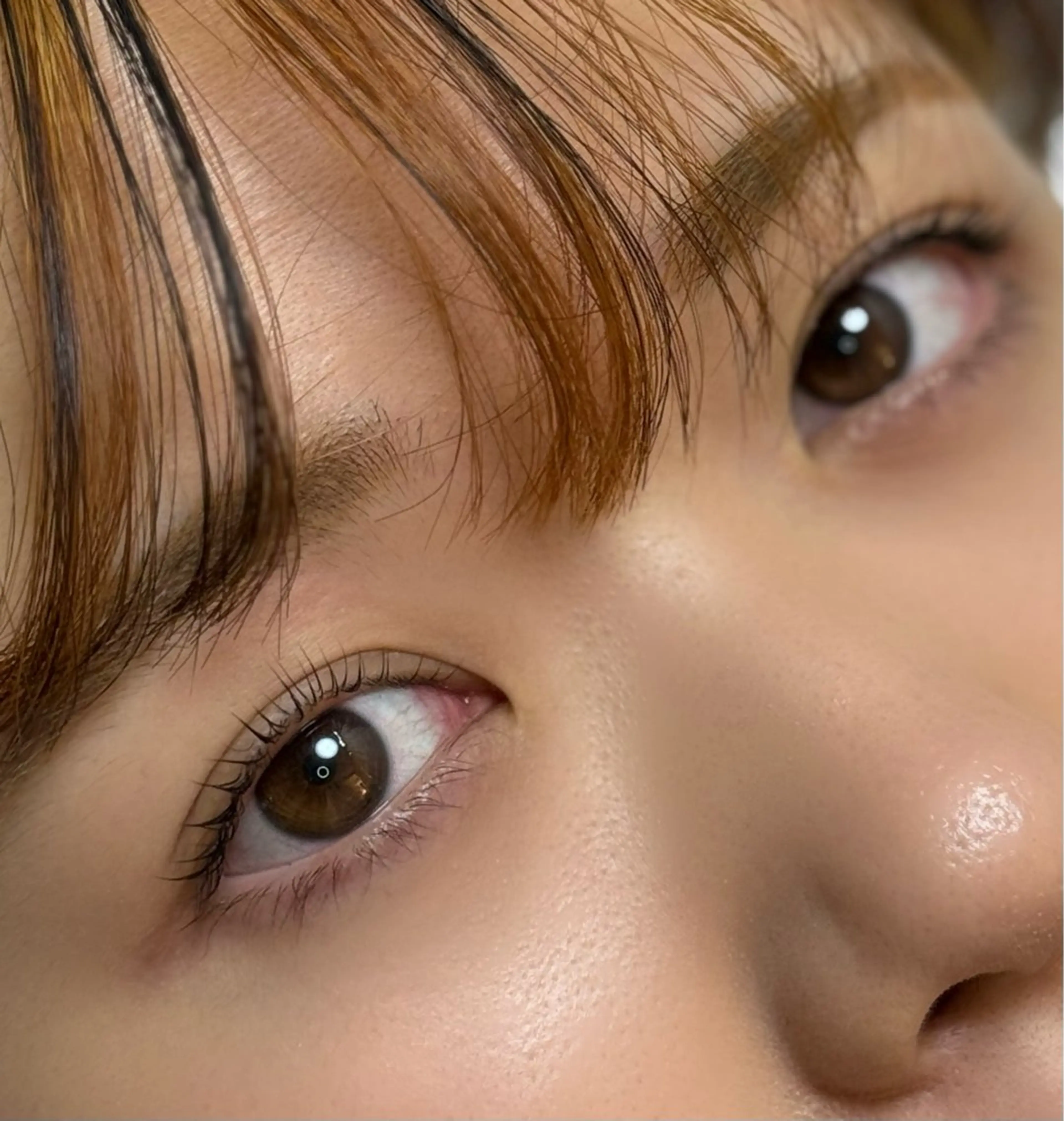 【👀練習モデル】まつ毛パーマorラッシュリフト🤍※マツエクオフやマツエクの上からの施術は行なってません。の写真
