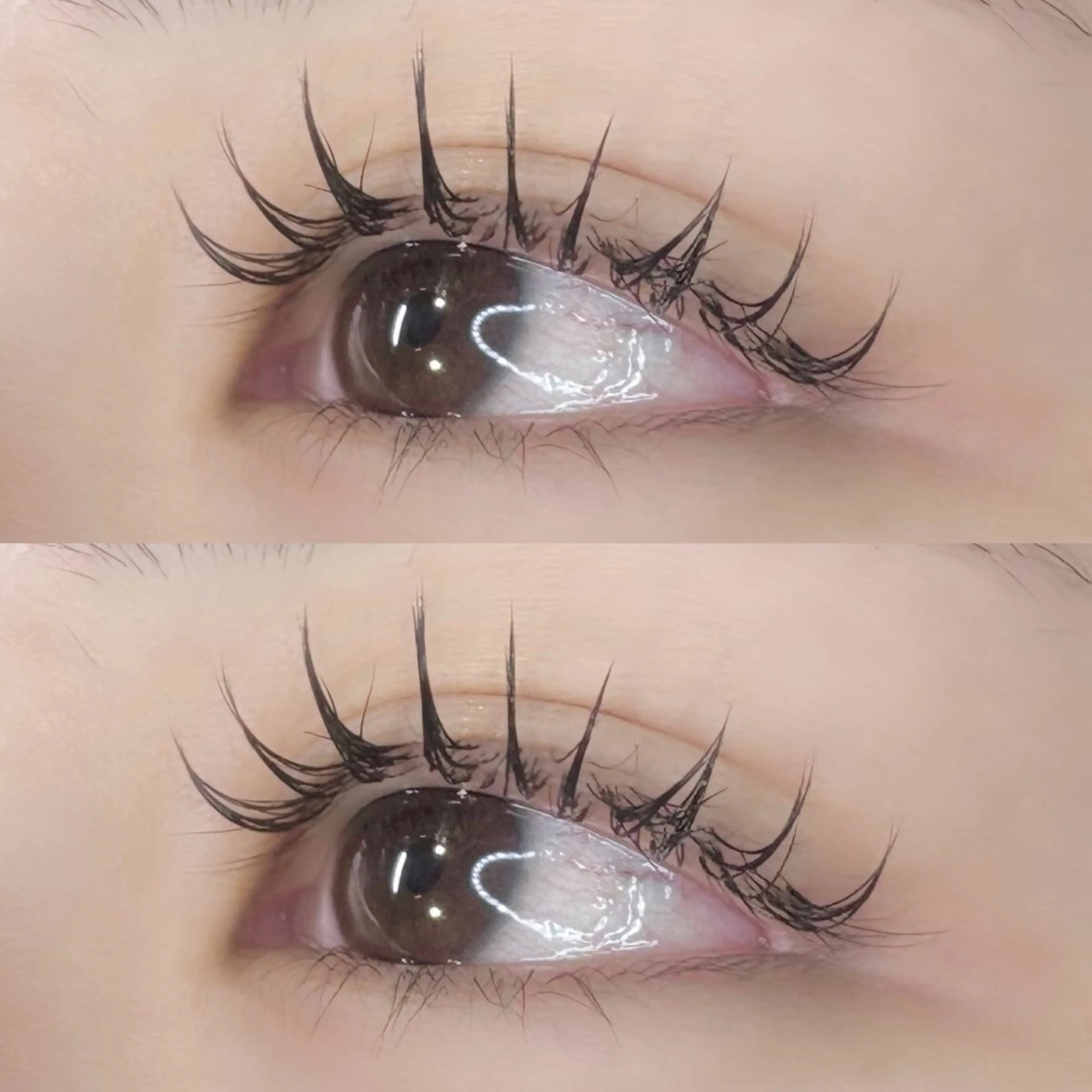 マツエク 100本 (オフなし) 🤍の写真