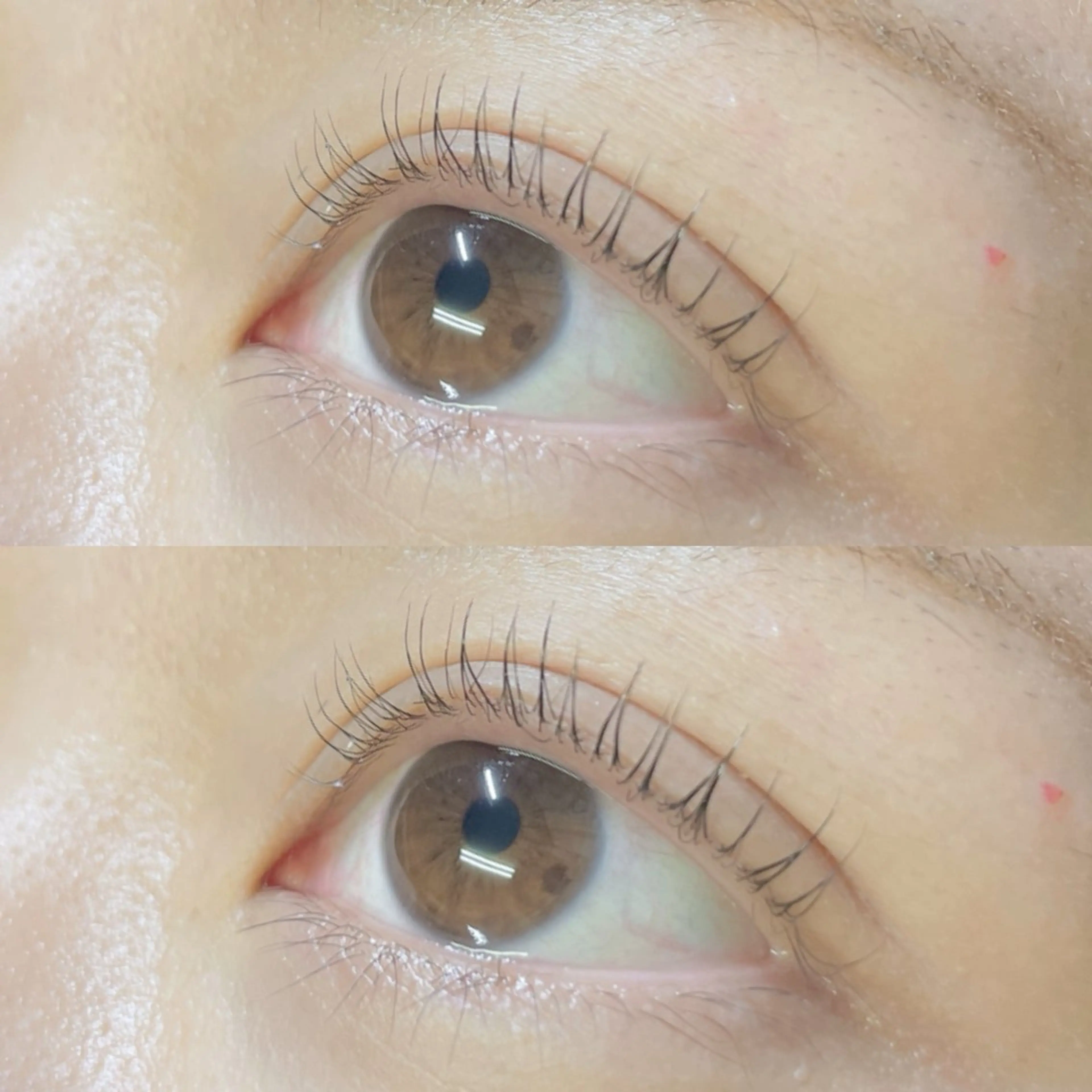 マツエク・マツパ マツパ リフュージュ　隠れ家所属・リフュージュ🌷 カホのマツエク・マツパデザイン