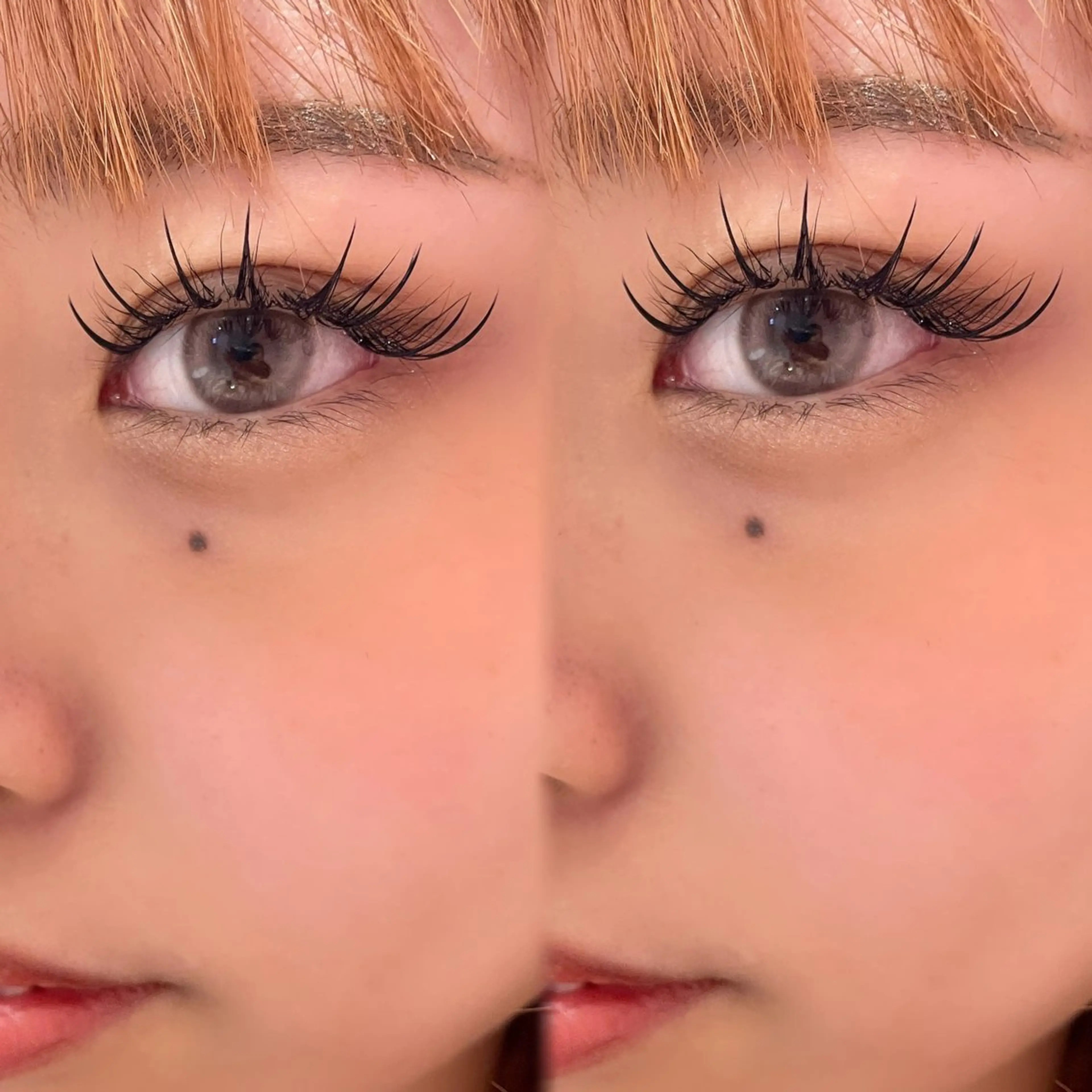 【撮影OKの方限定🩵】3D Lash × LED 🪄ྀི240本(80束)の写真