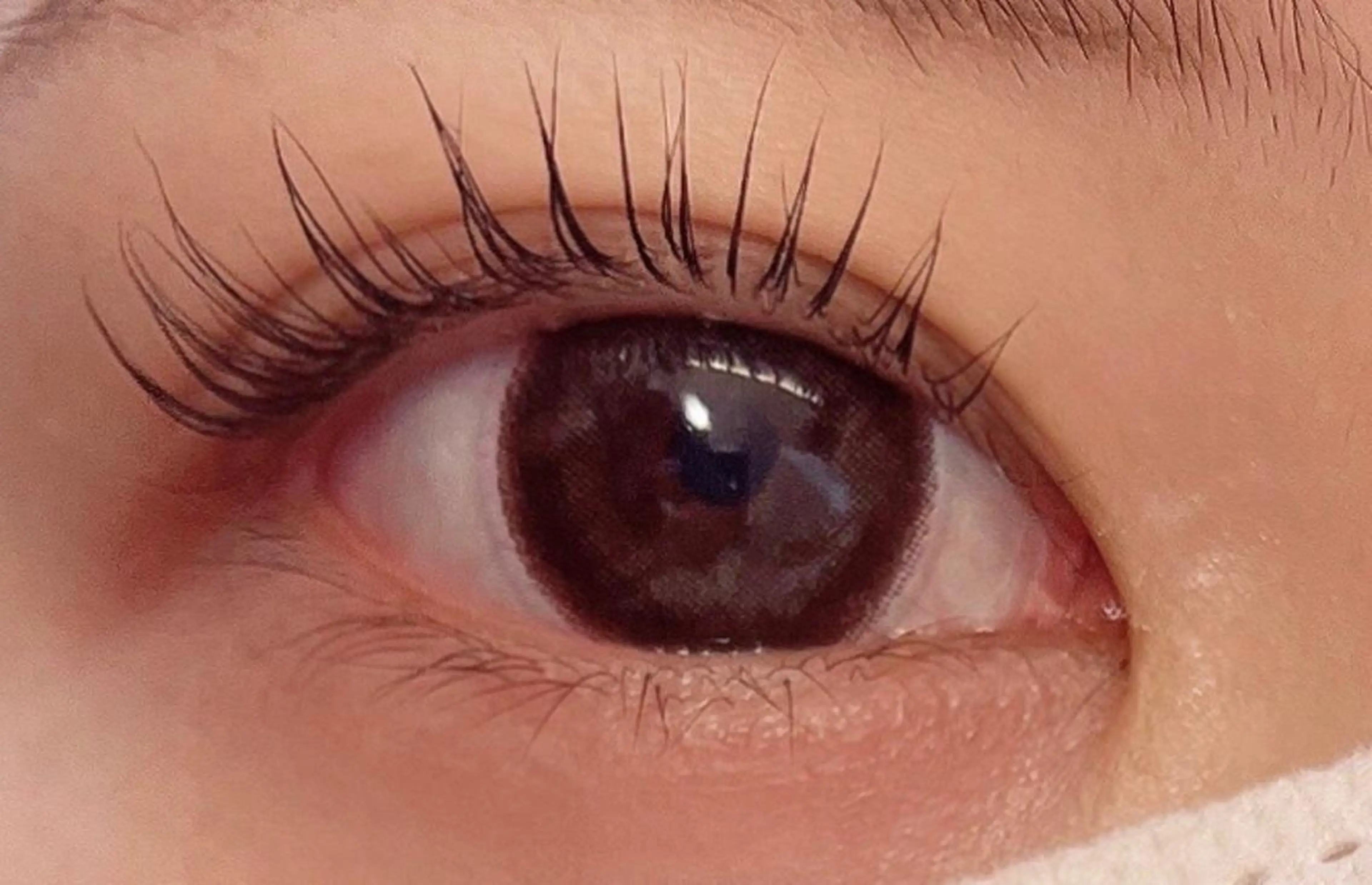 マツエク・マツパ handsemu EYELASHの眉毛・アイブロウイメージ