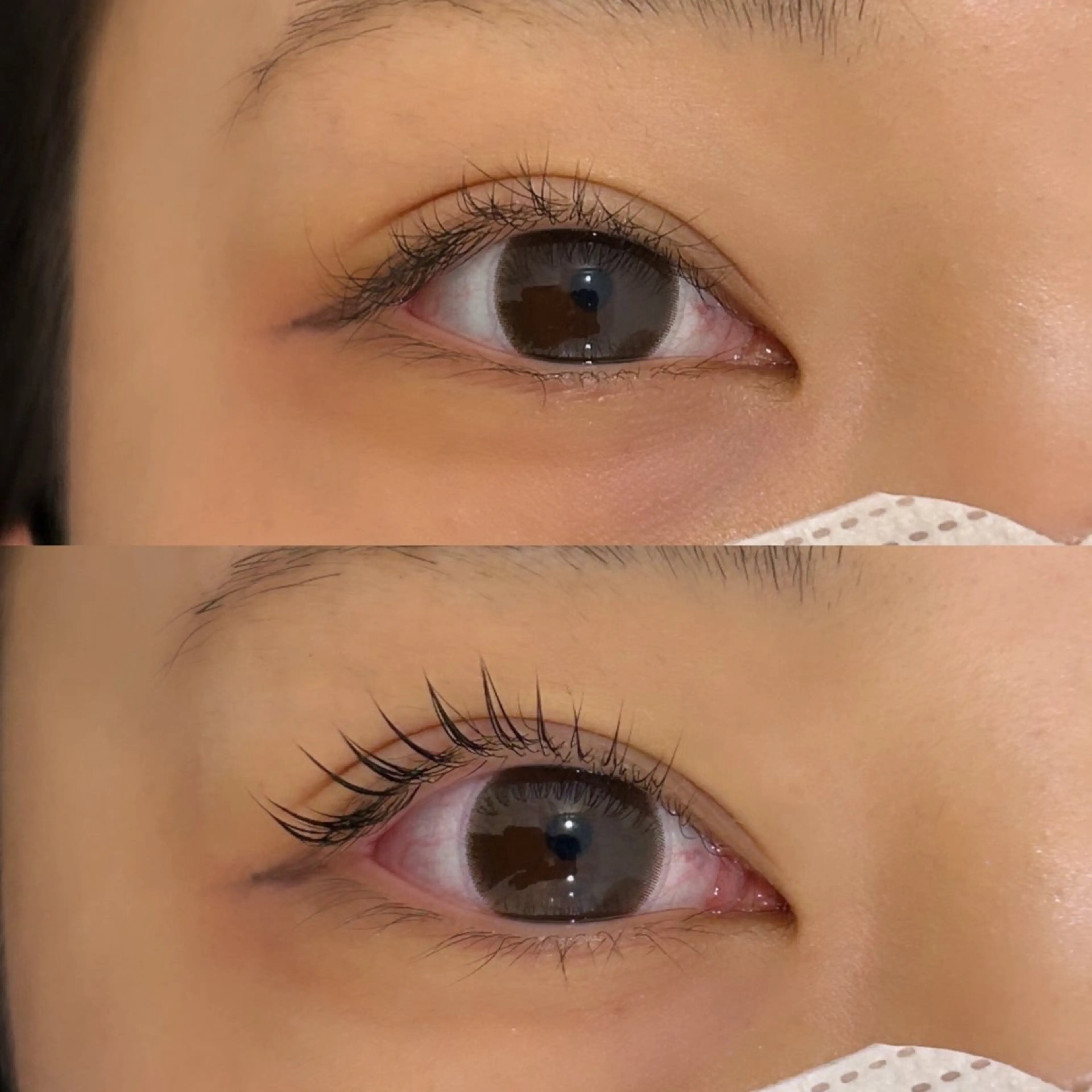 マツエク・マツパ chiri/韓国/ まつげパーマ/立川のマツエク・マツパデザイン