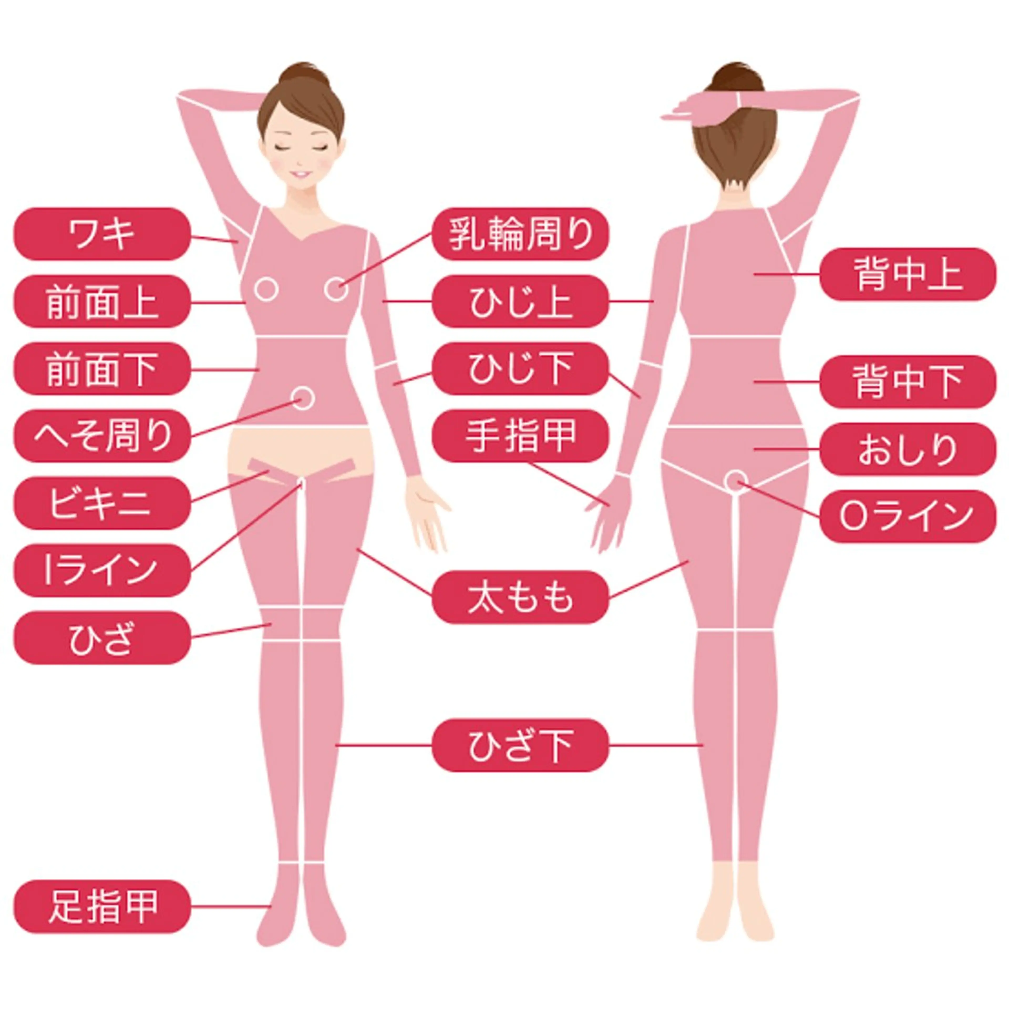 高速美肌脱毛ー全身脱毛（都度払い) (VIO+顔なし)，痛みが少ないの写真