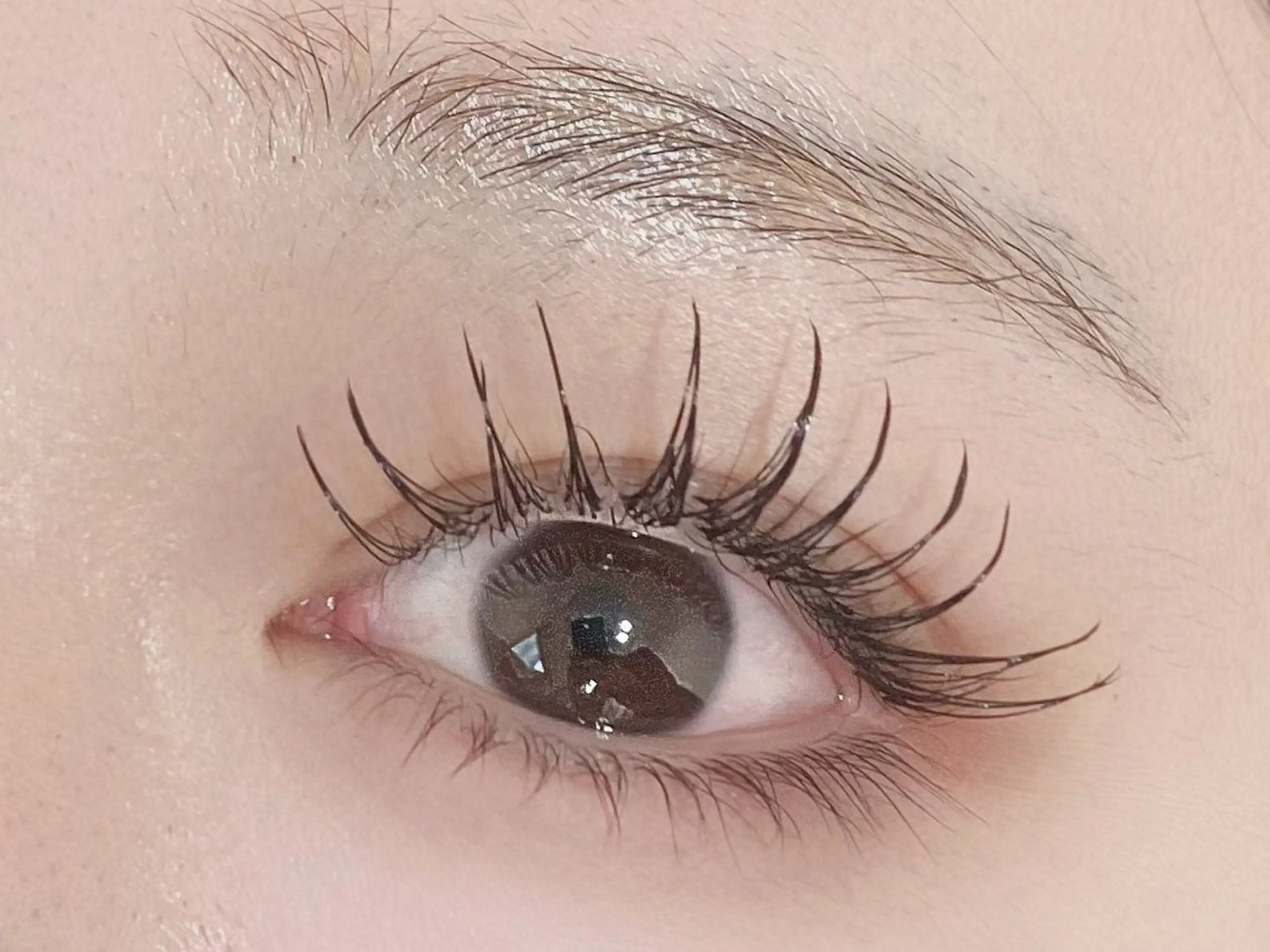 マツエク・マツパ 束感まつ毛 フラットラッシュ 韓国風マツエク ナチュラル パリジェンヌラッシュリフト マツエク 💎マツエク/眉毛 パリジェンヌ渋谷💎のマツエク・マツパデザイン