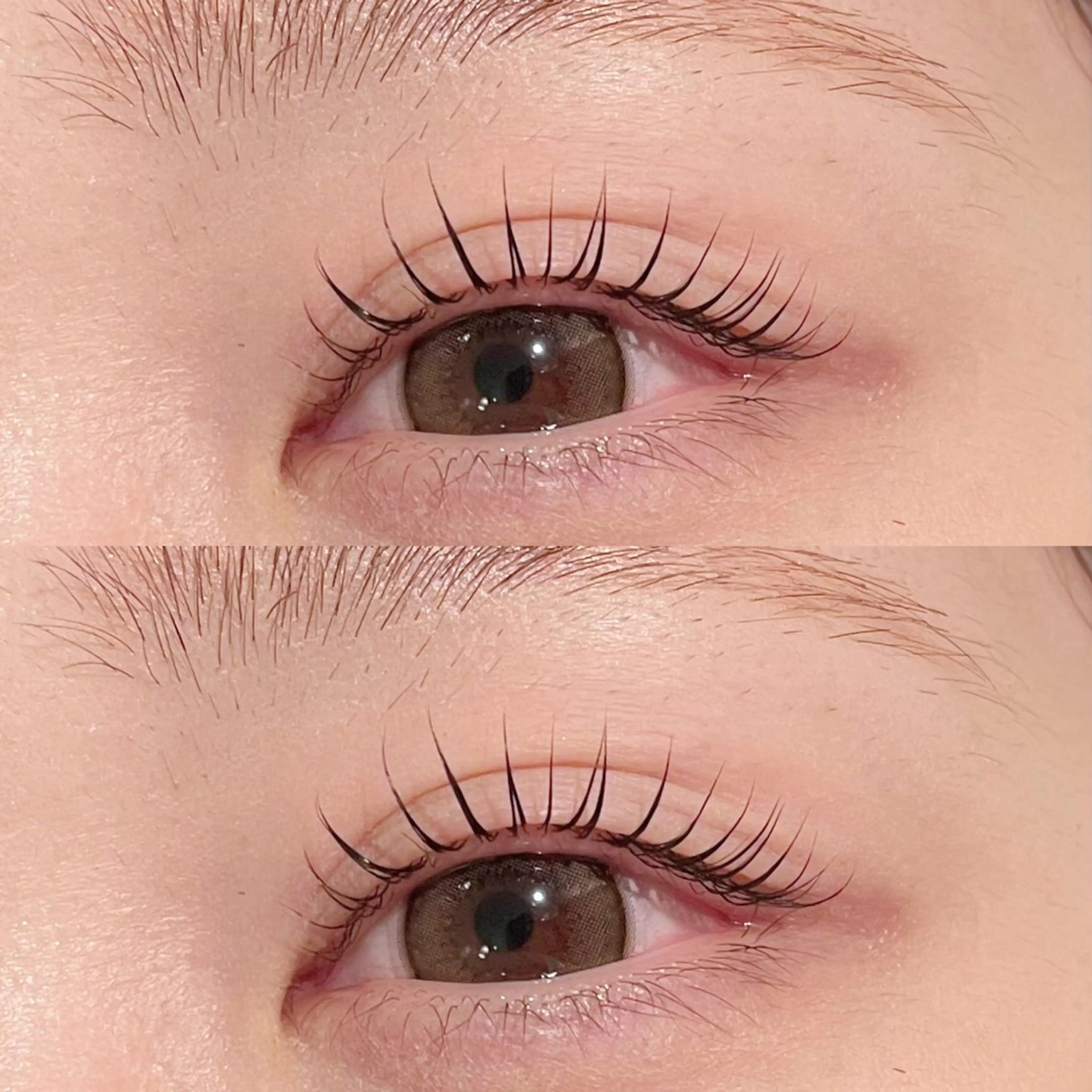 マツエク・マツパ re-born konomi 産休中のマツエク・マツパデザイン