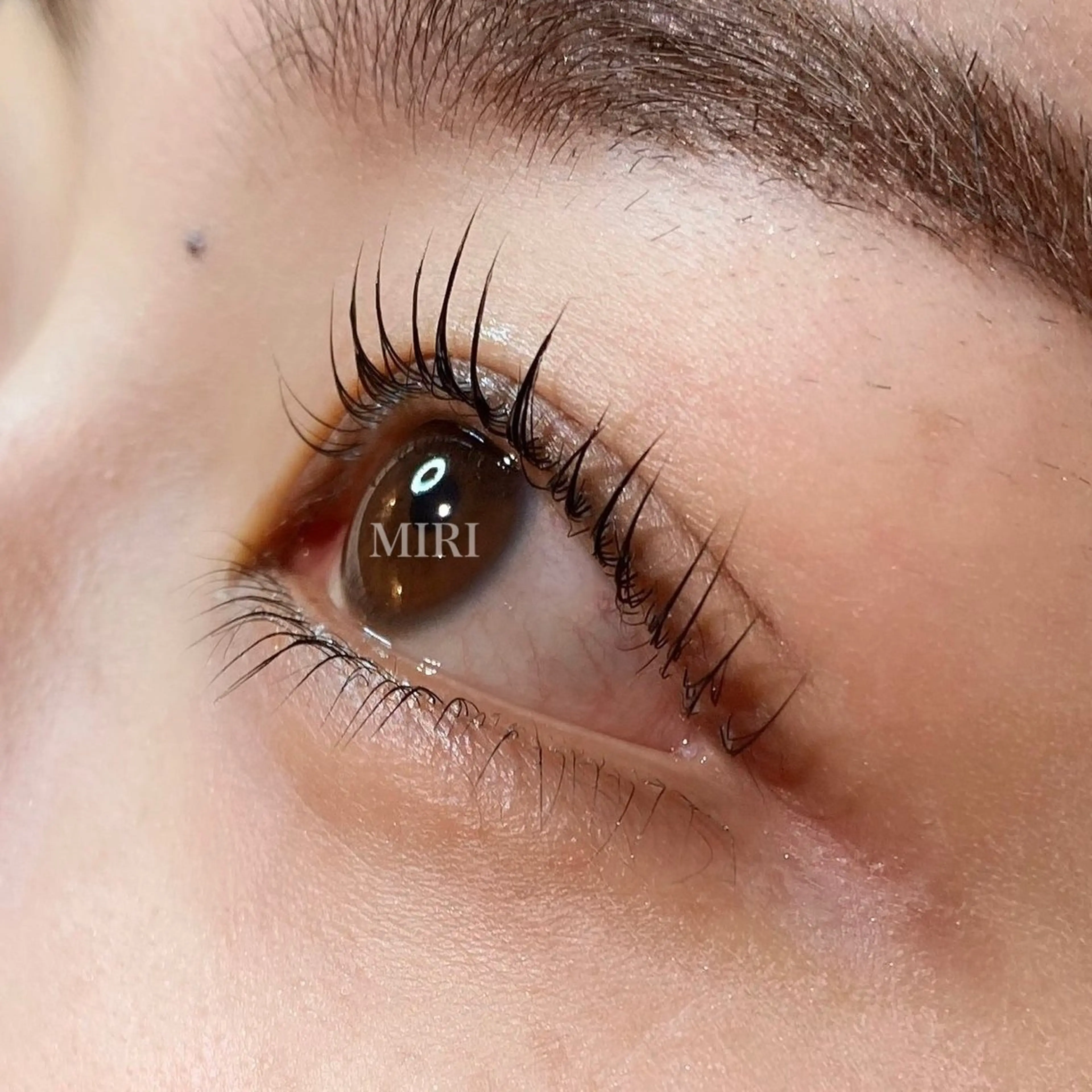 マツエク・マツパ マツパ まつげパーマ&アイブロウMIRI所属・🌷まつ毛パーマ 専門店MIRI 🌷のマツエク・マツパデザイン