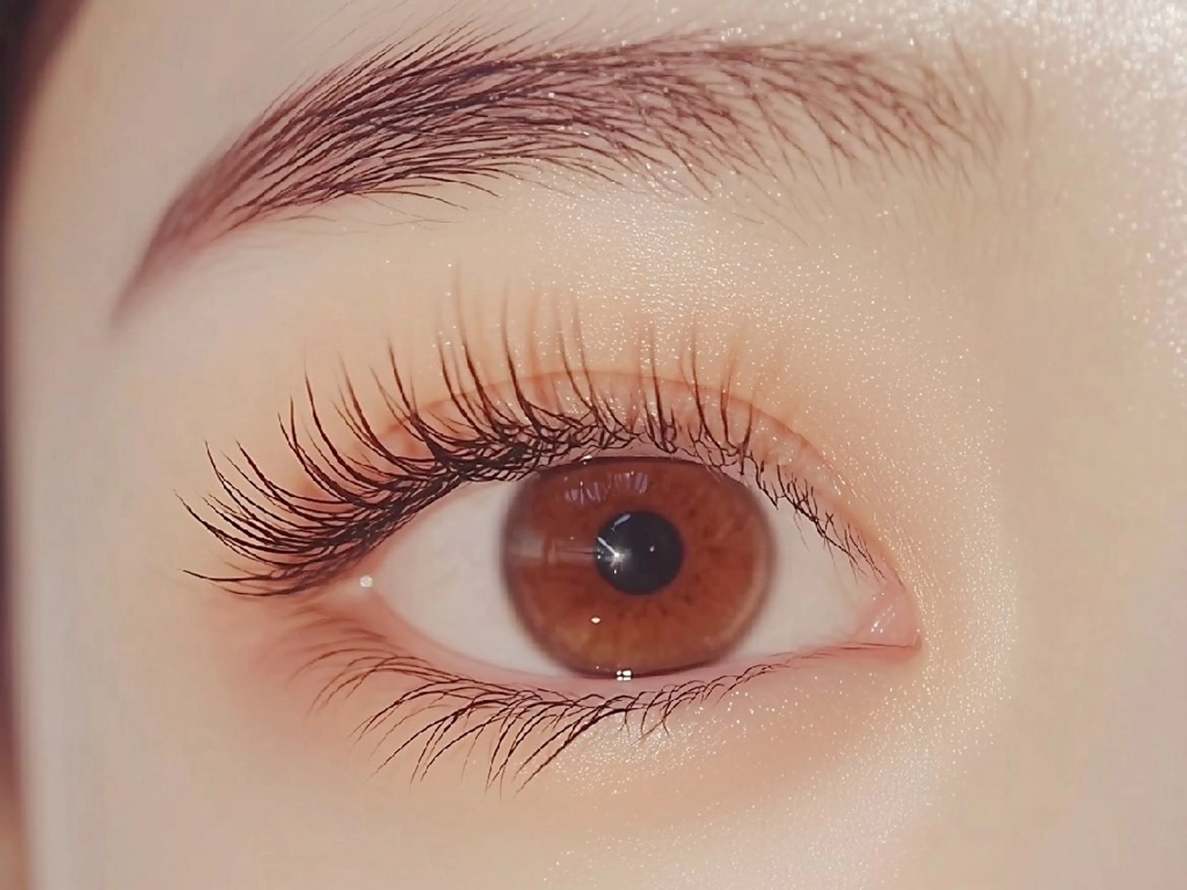 フラットラッシュ120本の写真