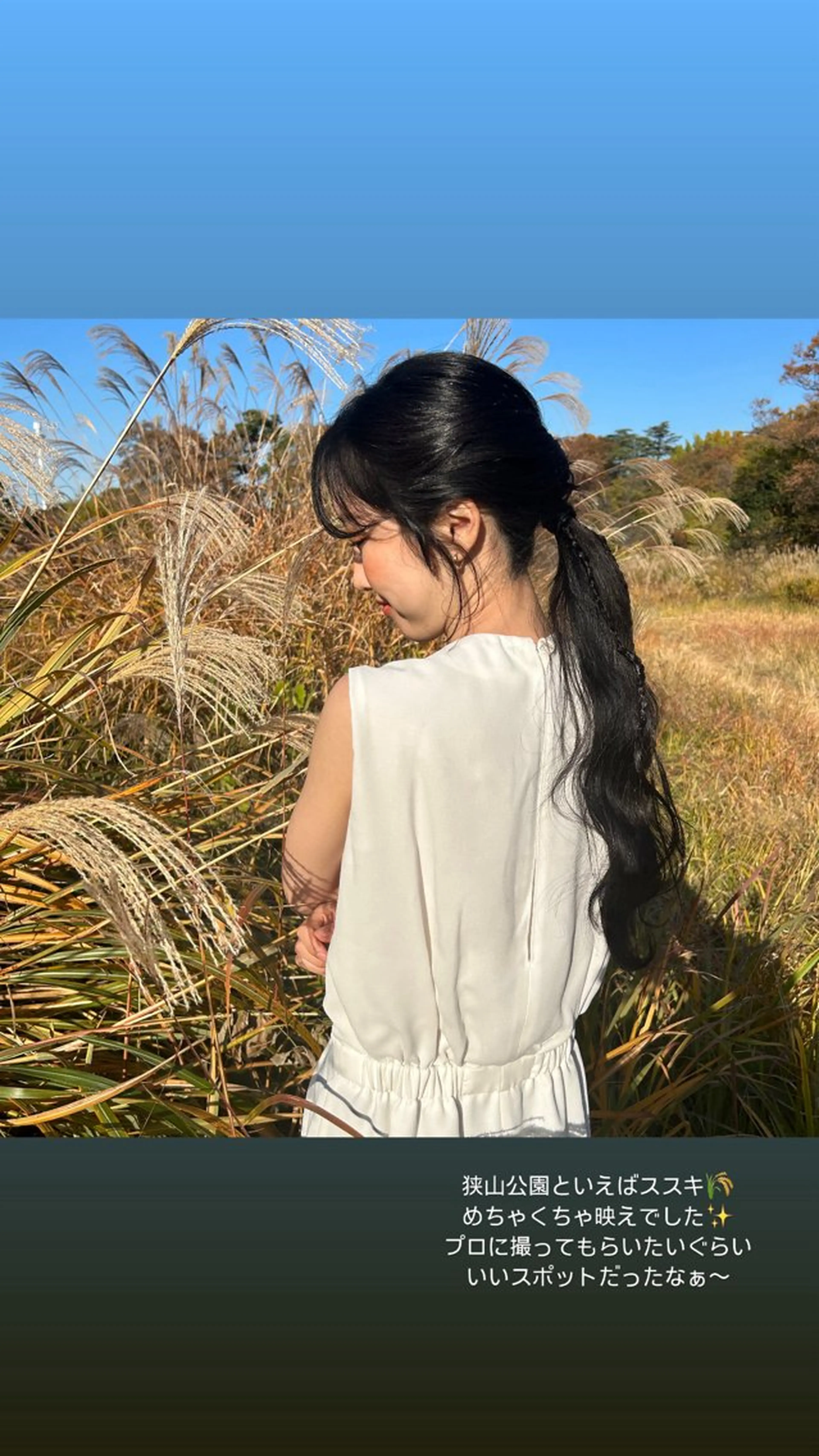 ロング ヘアアレンジ ポニーテール ヘアセット 飯塚 沙衣のヘアスタイル