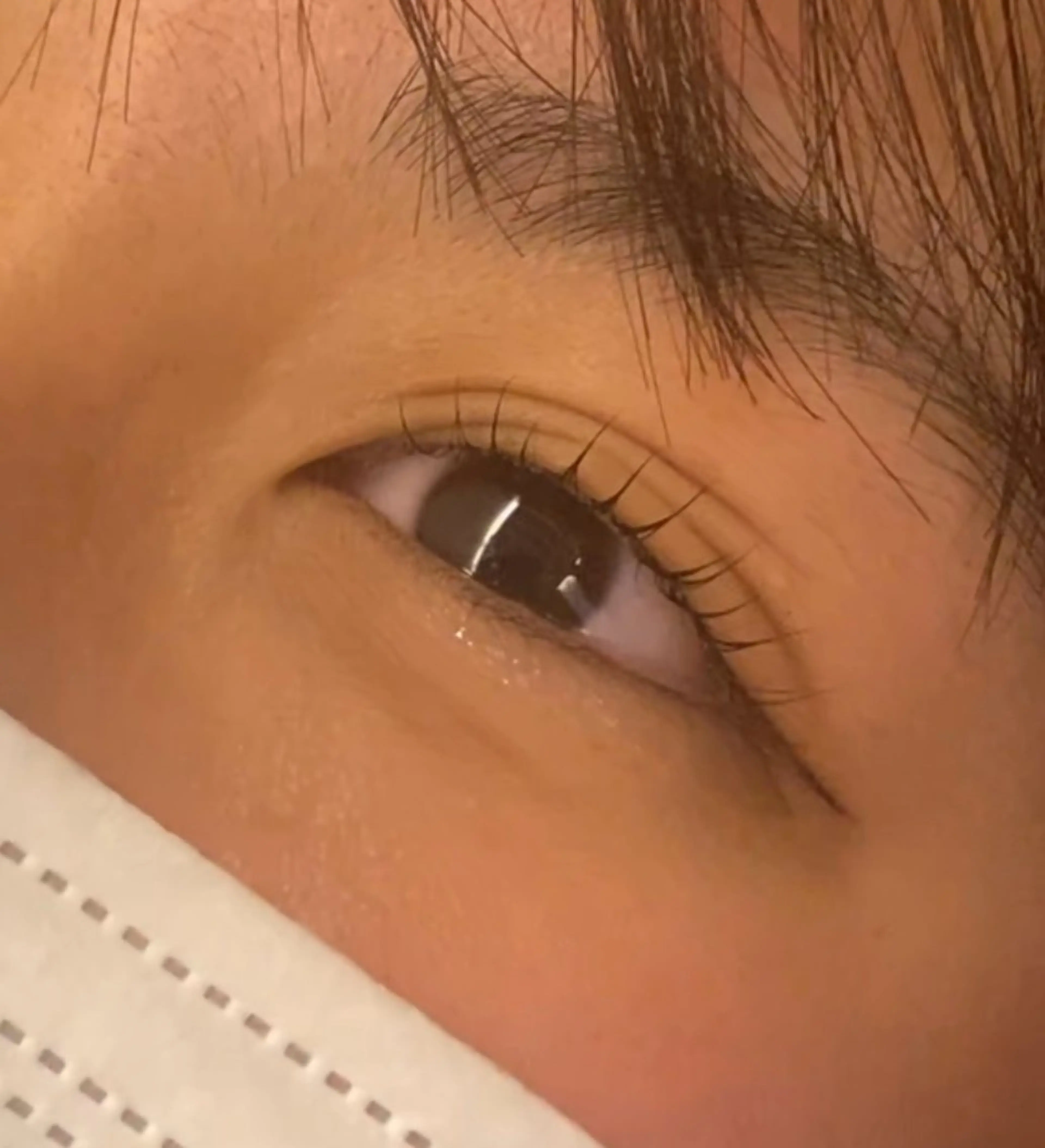 ラッシュリフトの写真