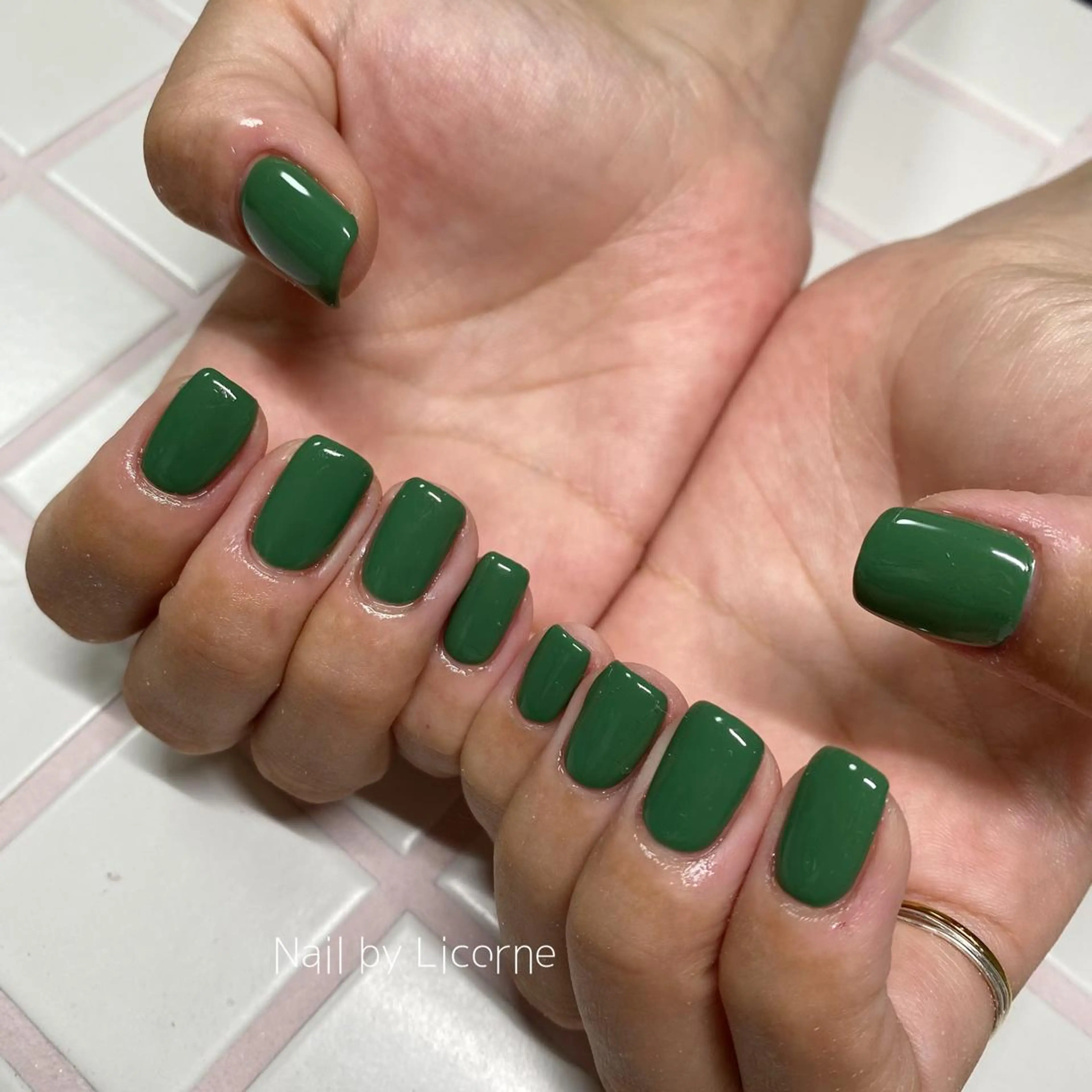 ネイル アートネイル オーロラネイル フレンチネイル 氷ネイル・うるうるネイル マグネットネイル ハンドネイル Nail by Licorneのネイルデザイン