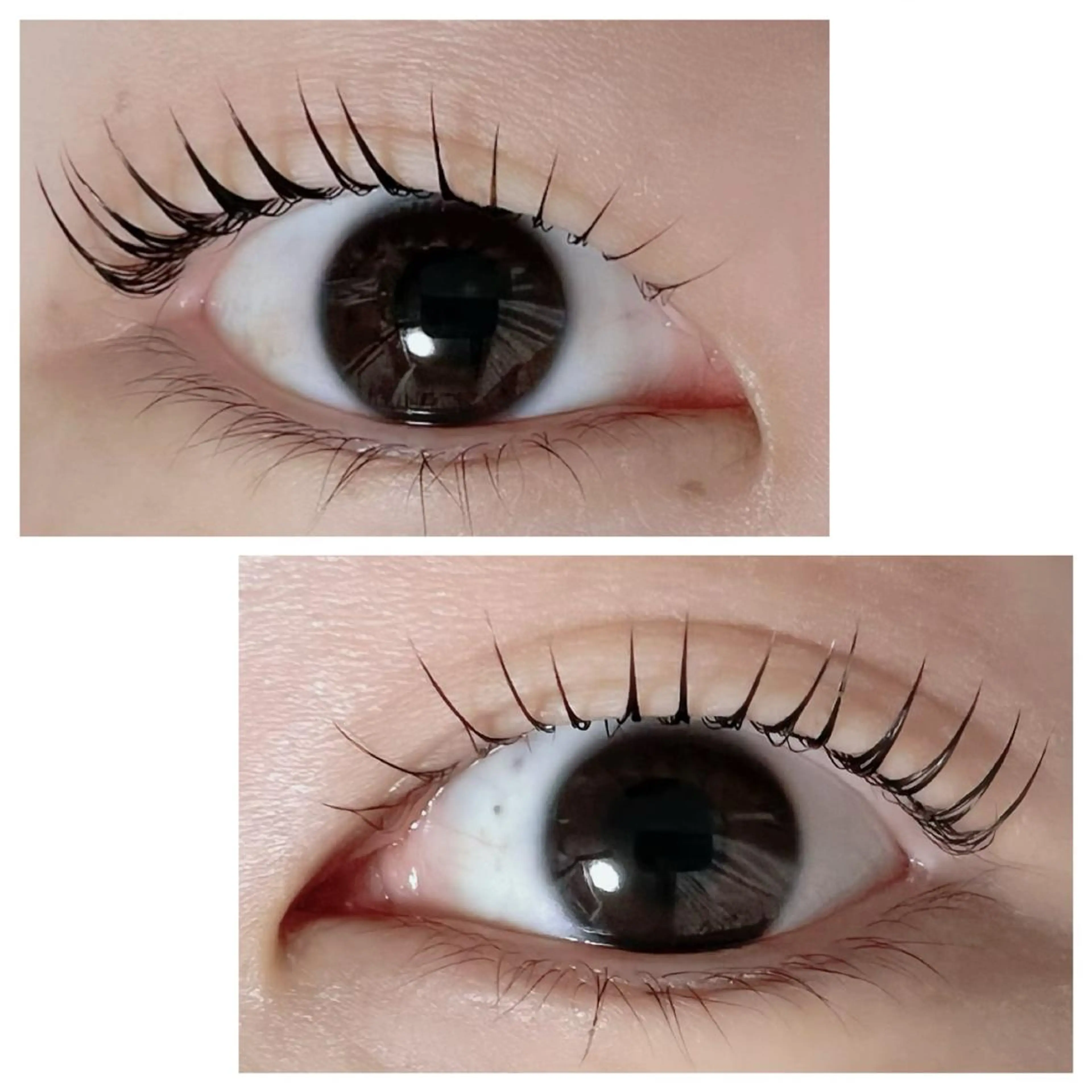 マツエク・マツパ Adorer(アドレ)所属・Adorer 🍀アドレ🍀のマツエク・マツパデザイン