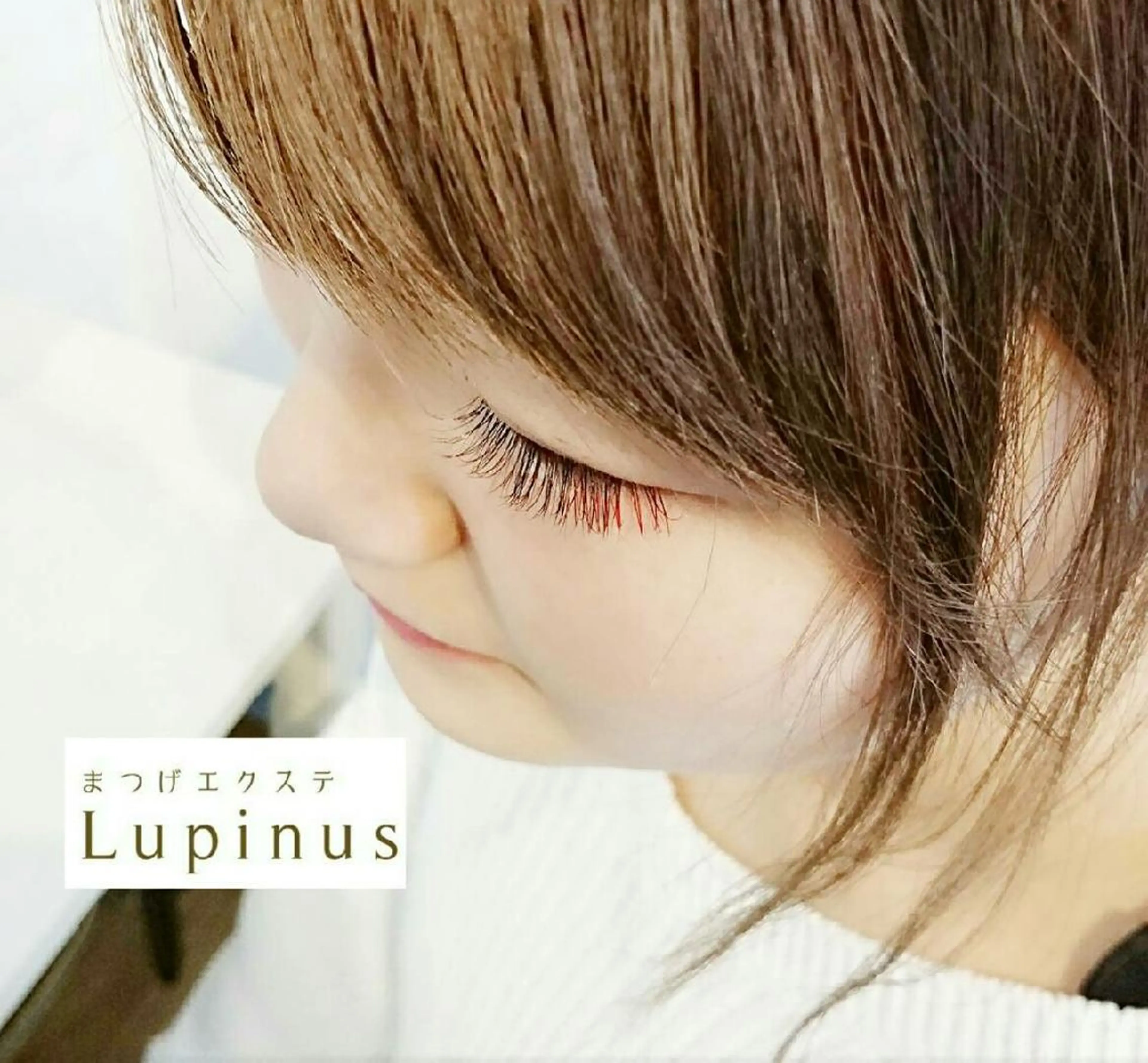 まつエク マツエク・マツパ カラー ブラウンカラー グラデーションカラー レッドカラー カラーマツエク Lupinus 国立店のマツエク・マツパデザイン