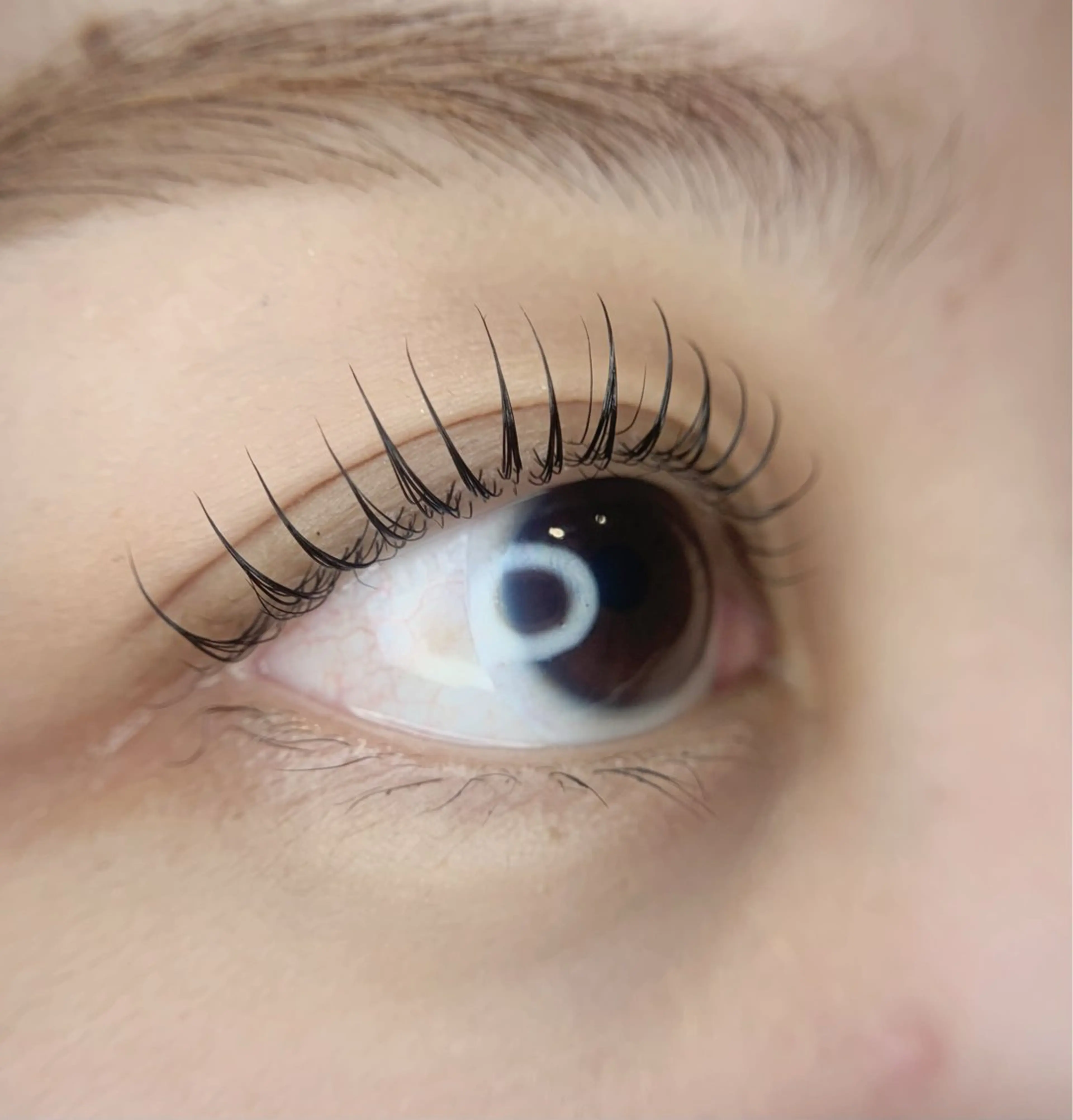 マツエク・マツパ rinza所属・鎌田 花の眉毛・アイブロウイメージ