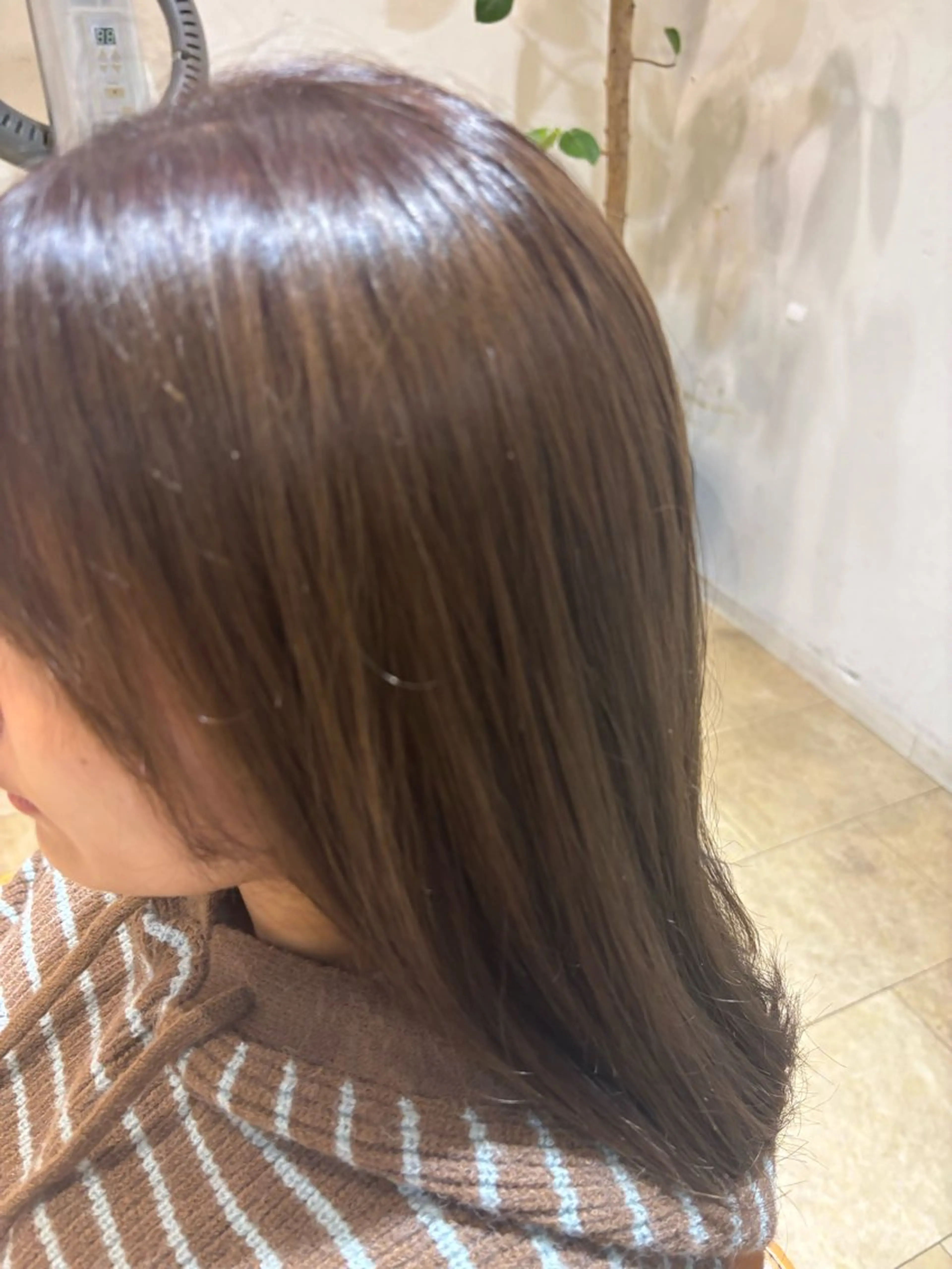 【🫧おすすめメニュー🫧】ワンカラーの写真