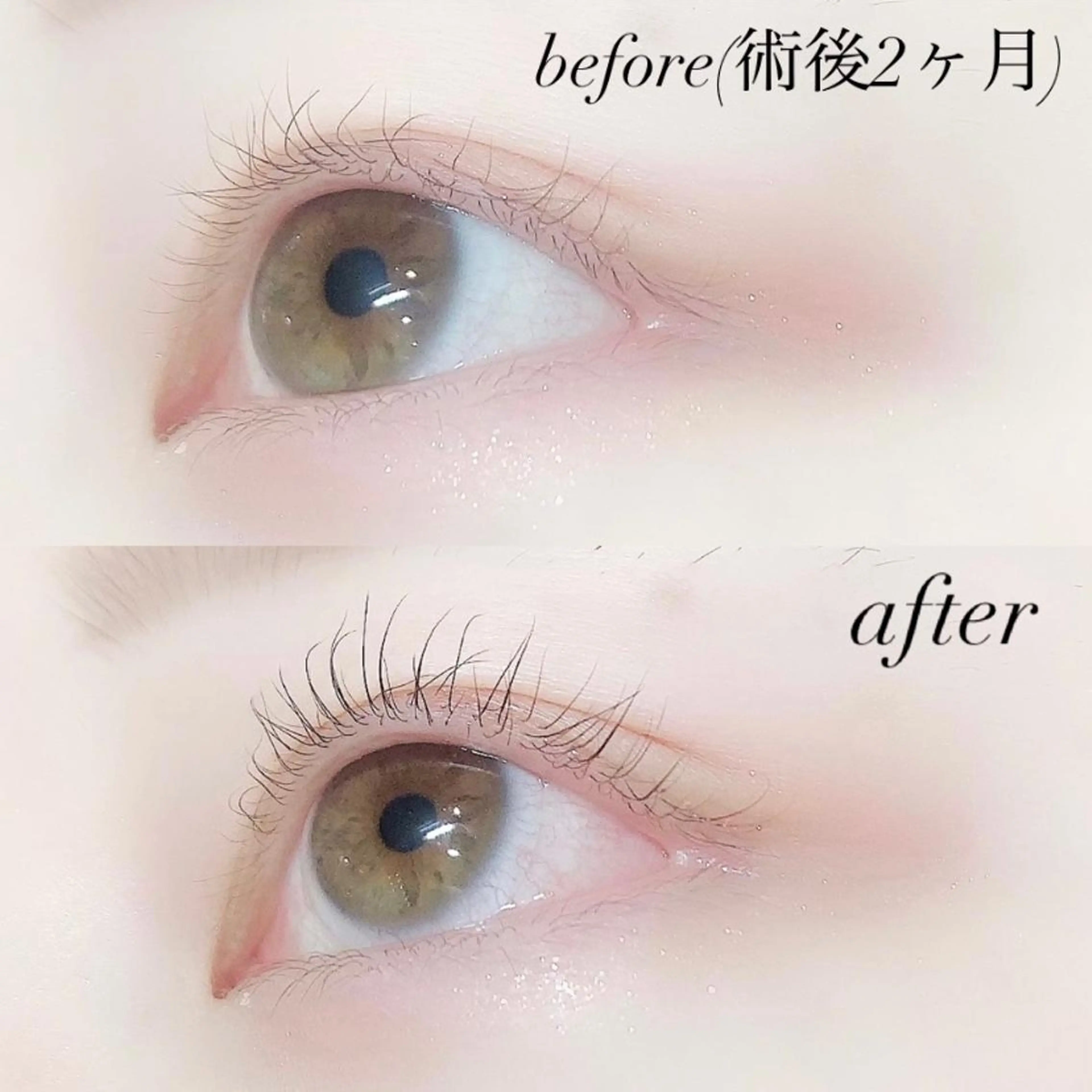 マツエク・マツパ まつげパーマ マツパ Lanhr所属・【Lanhr】 🕊aya🕊のマツエク・マツパデザイン