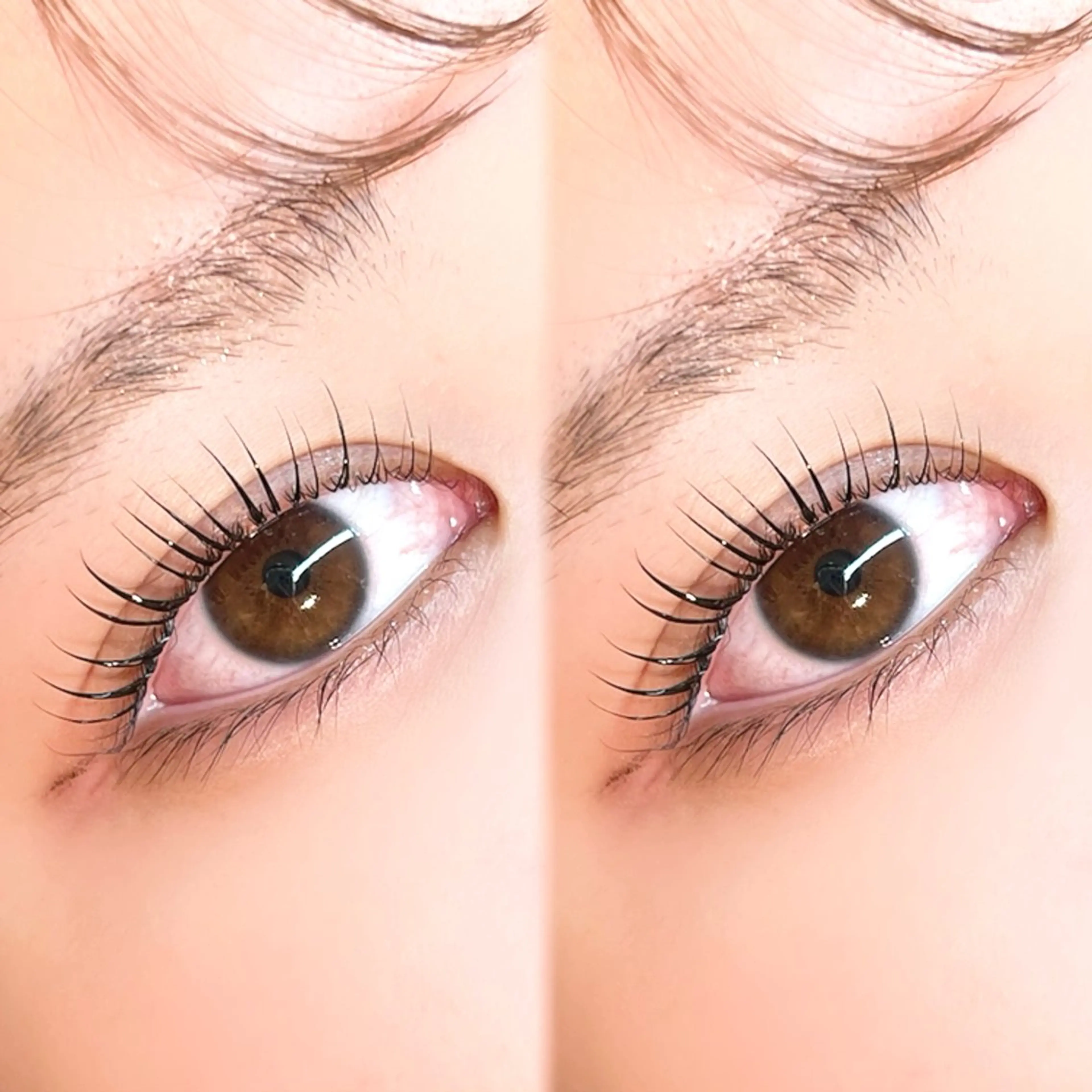 マツエク・マツパ 韓国風マツエク マツパ Emu eyelash所属・Emu RENAのマツエク・マツパデザイン