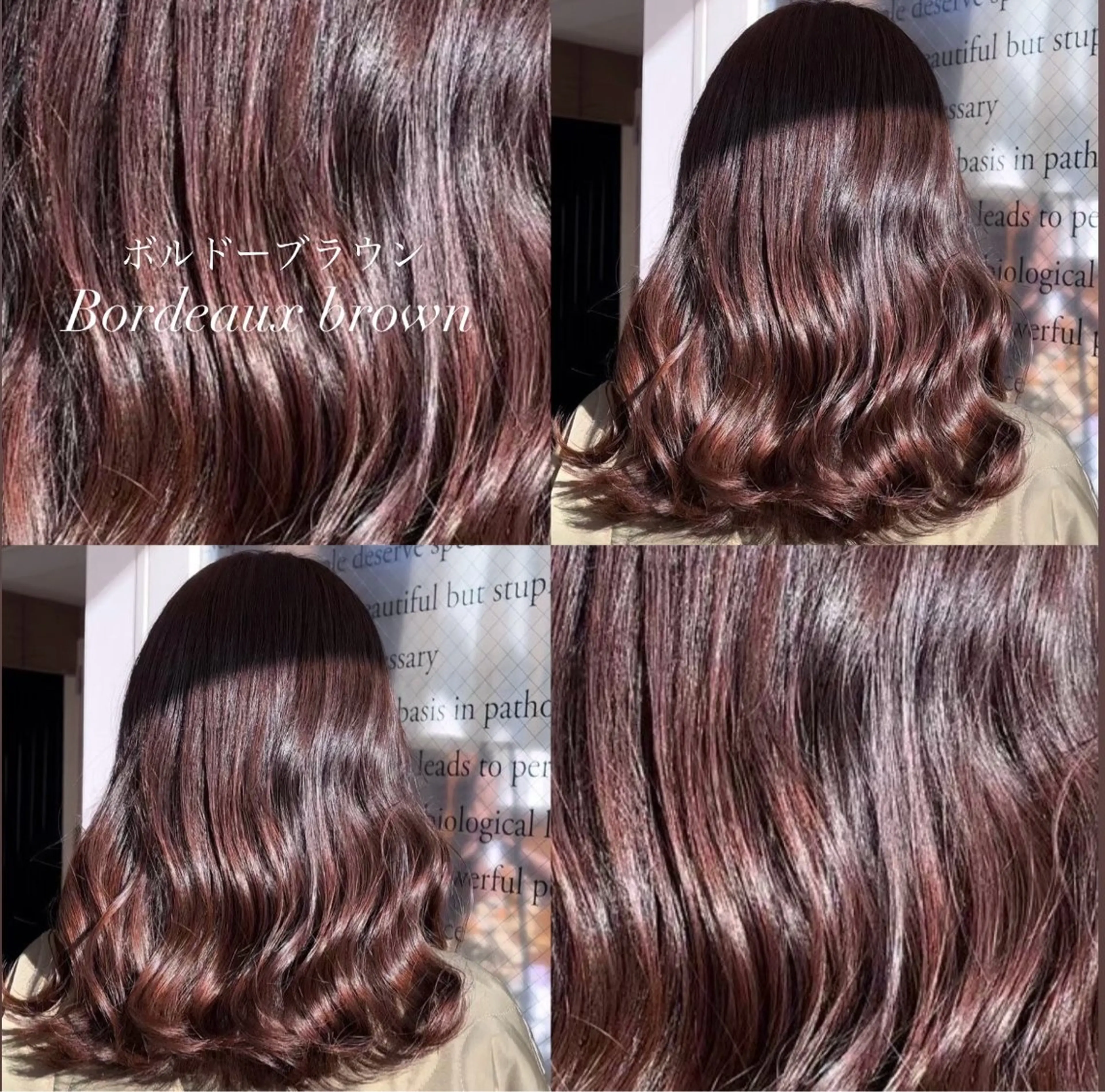 【U24】ワンカラー ※ミディアムの写真