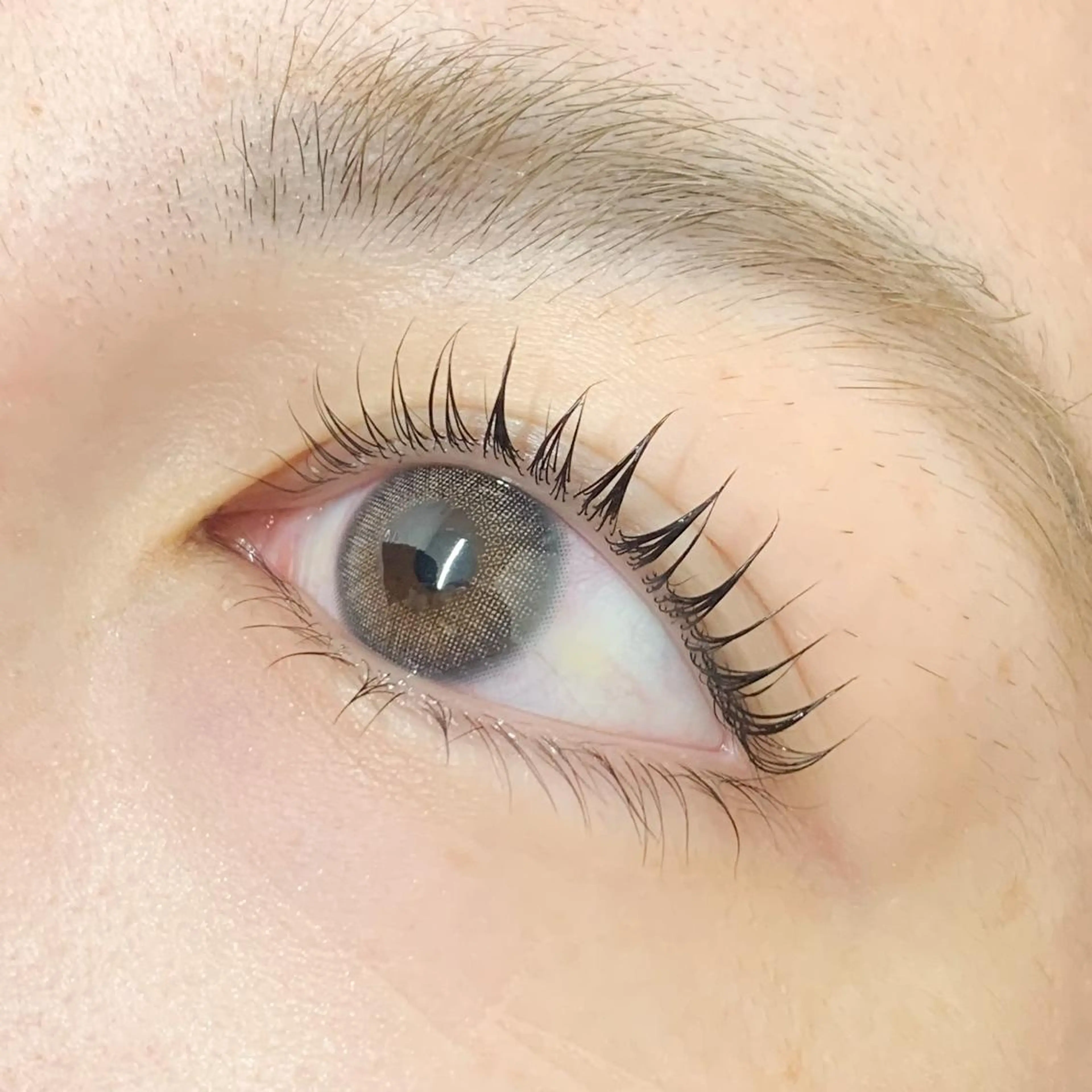 【U24学割】美まつ毛パーマ¥5,900※24歳以下の学生限定の写真