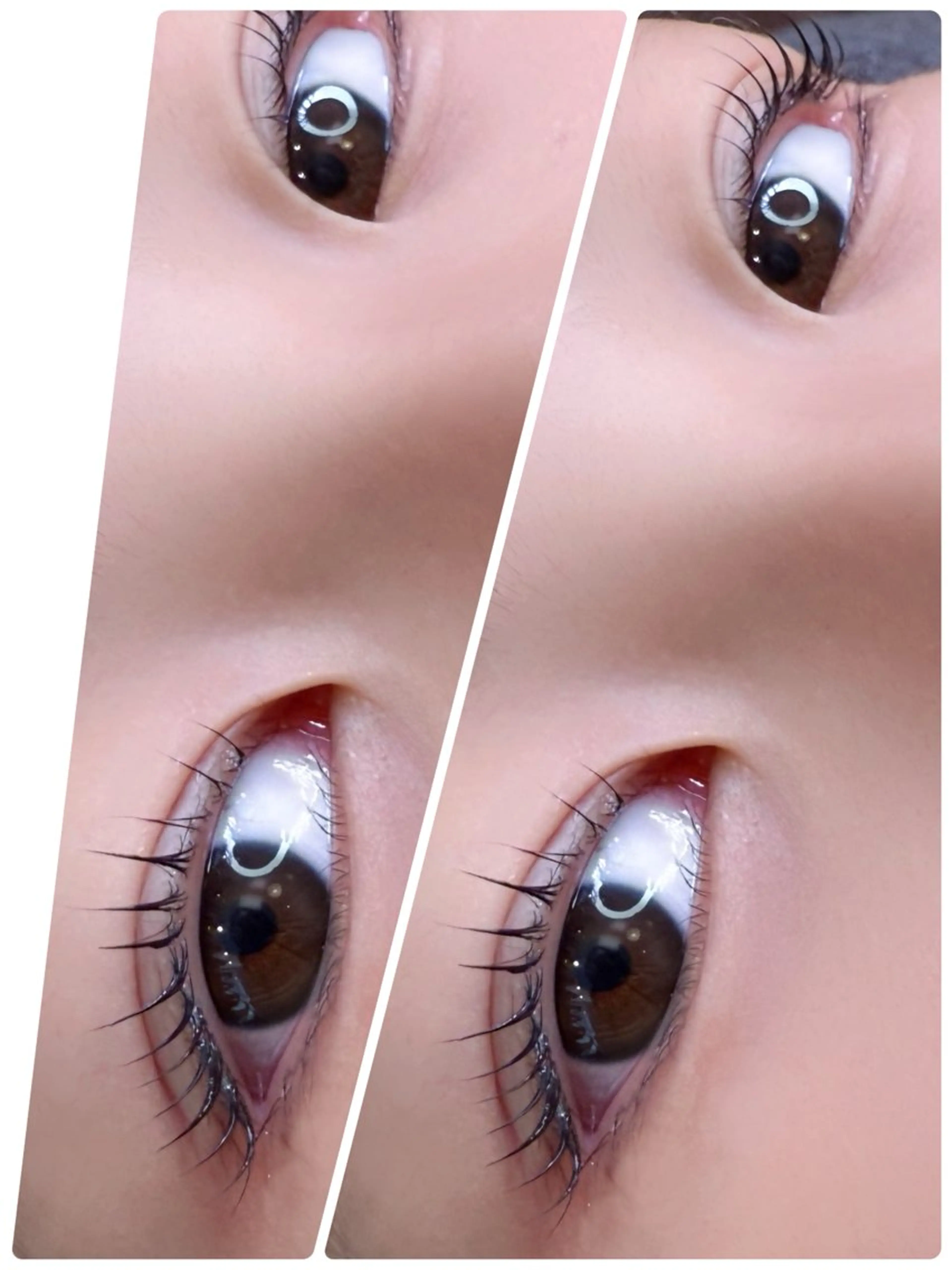 【ミニモ限定】まつ毛パーマ／ラッシュリフト《トリートメント&コーティング付き》人気の韓国ロッド多数ご用意しておりす◎の写真