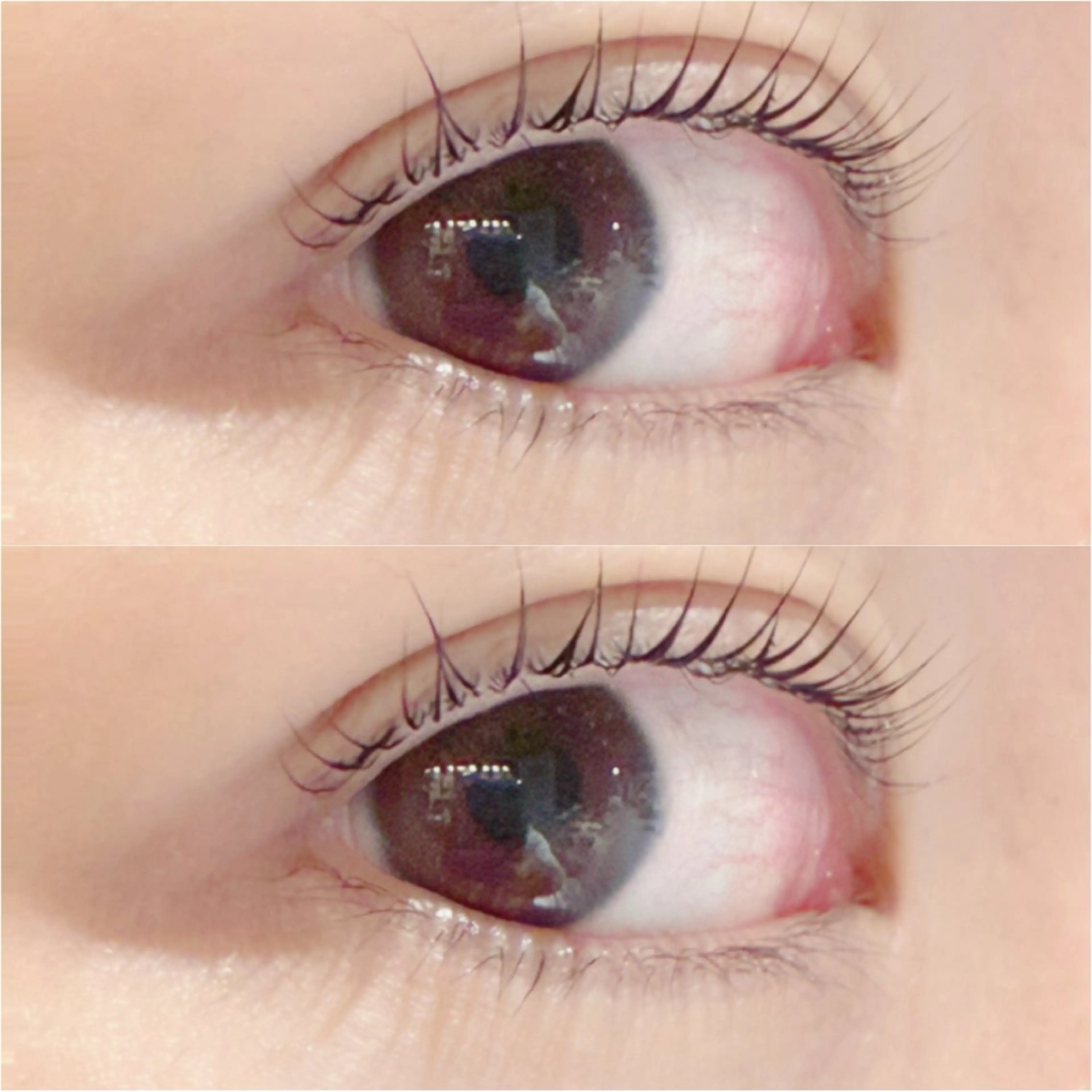 まつ毛パーマ 〈lush lift〉 ✨ 垢抜けEYEの写真