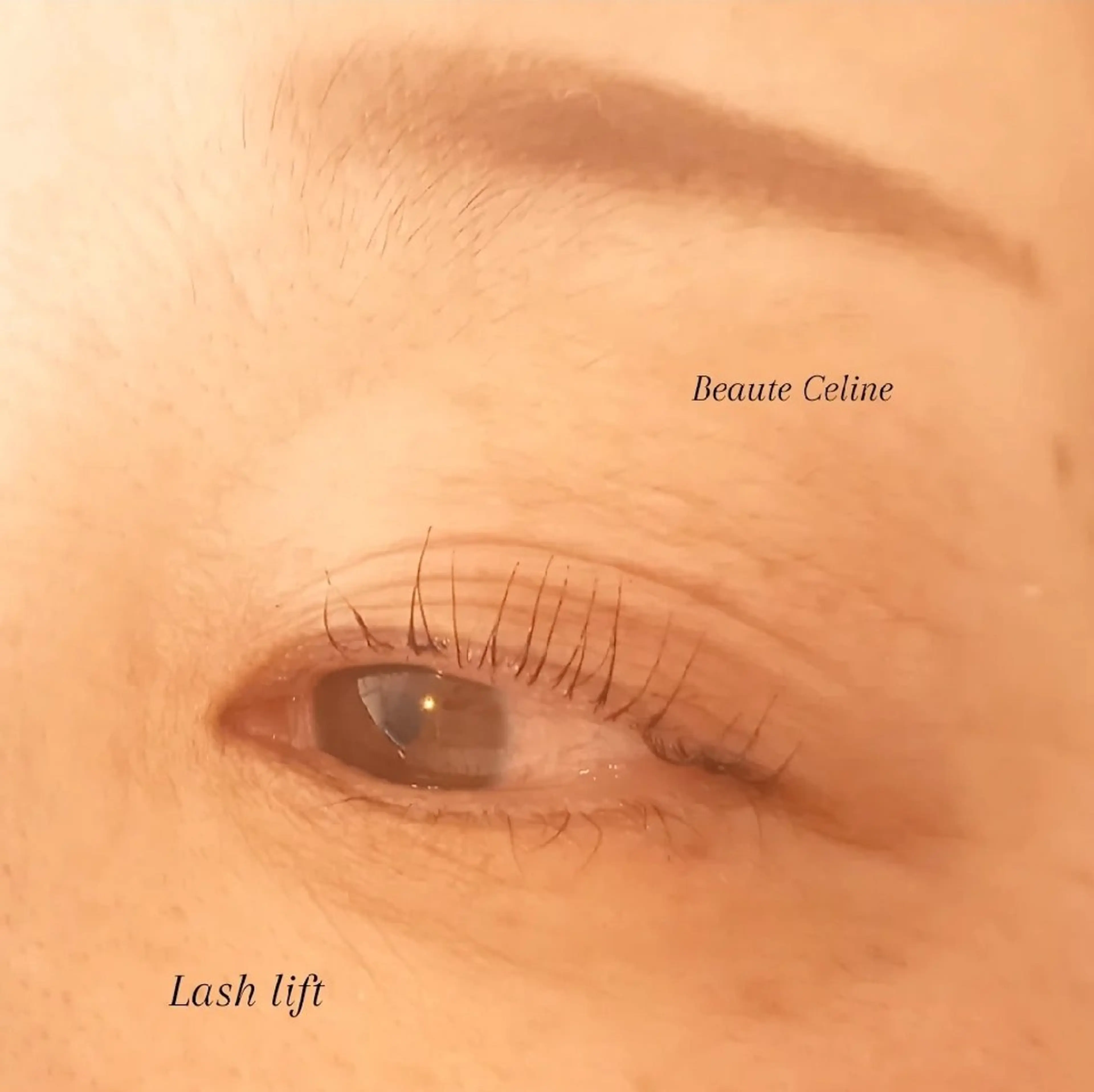 マツエク・マツパ マツパ beaute.celine所属・&healthy💜 ﾎﾞｰﾃCelineのマツエク・マツパデザイン