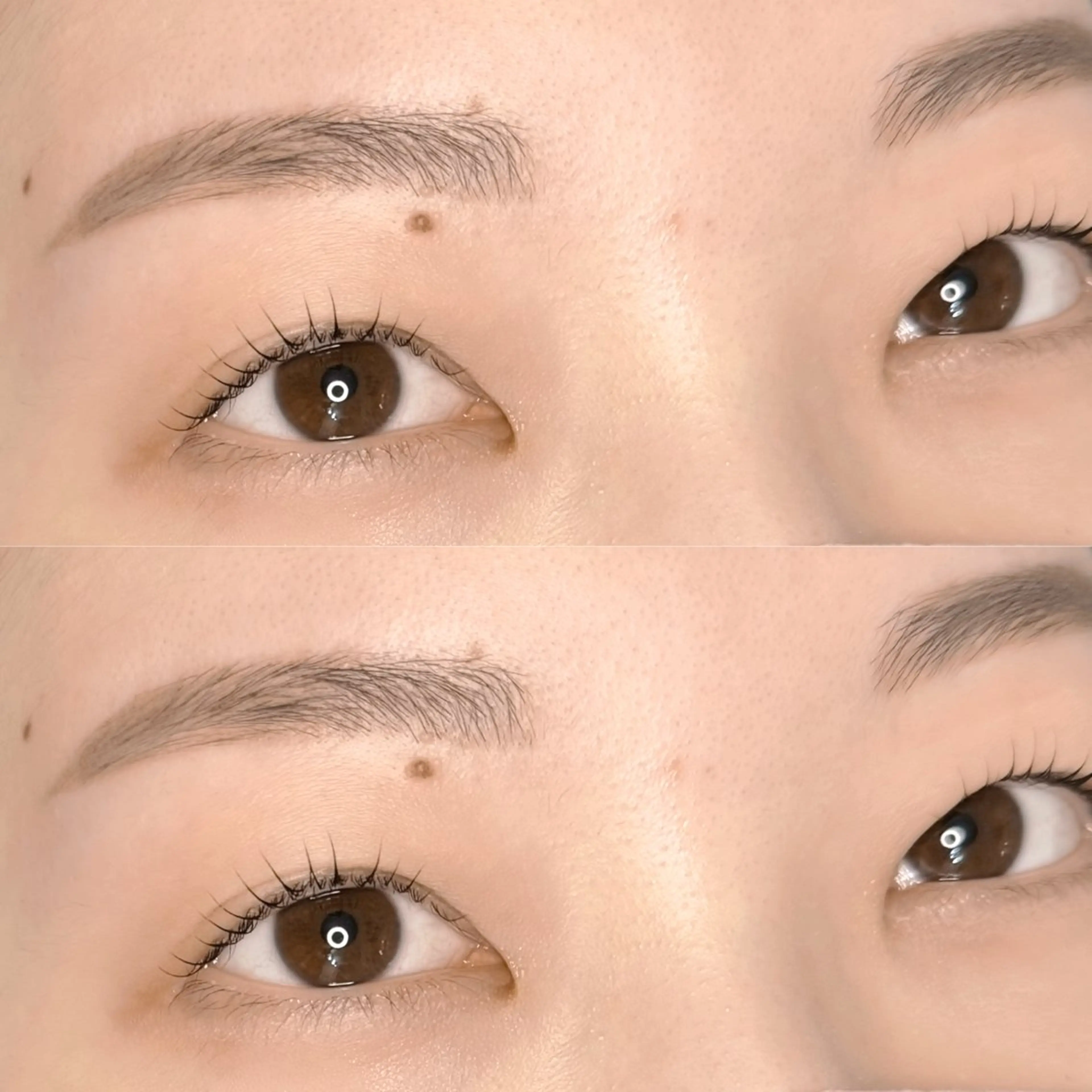 Tamagawa Hikaruの眉毛・アイブロウイメージ