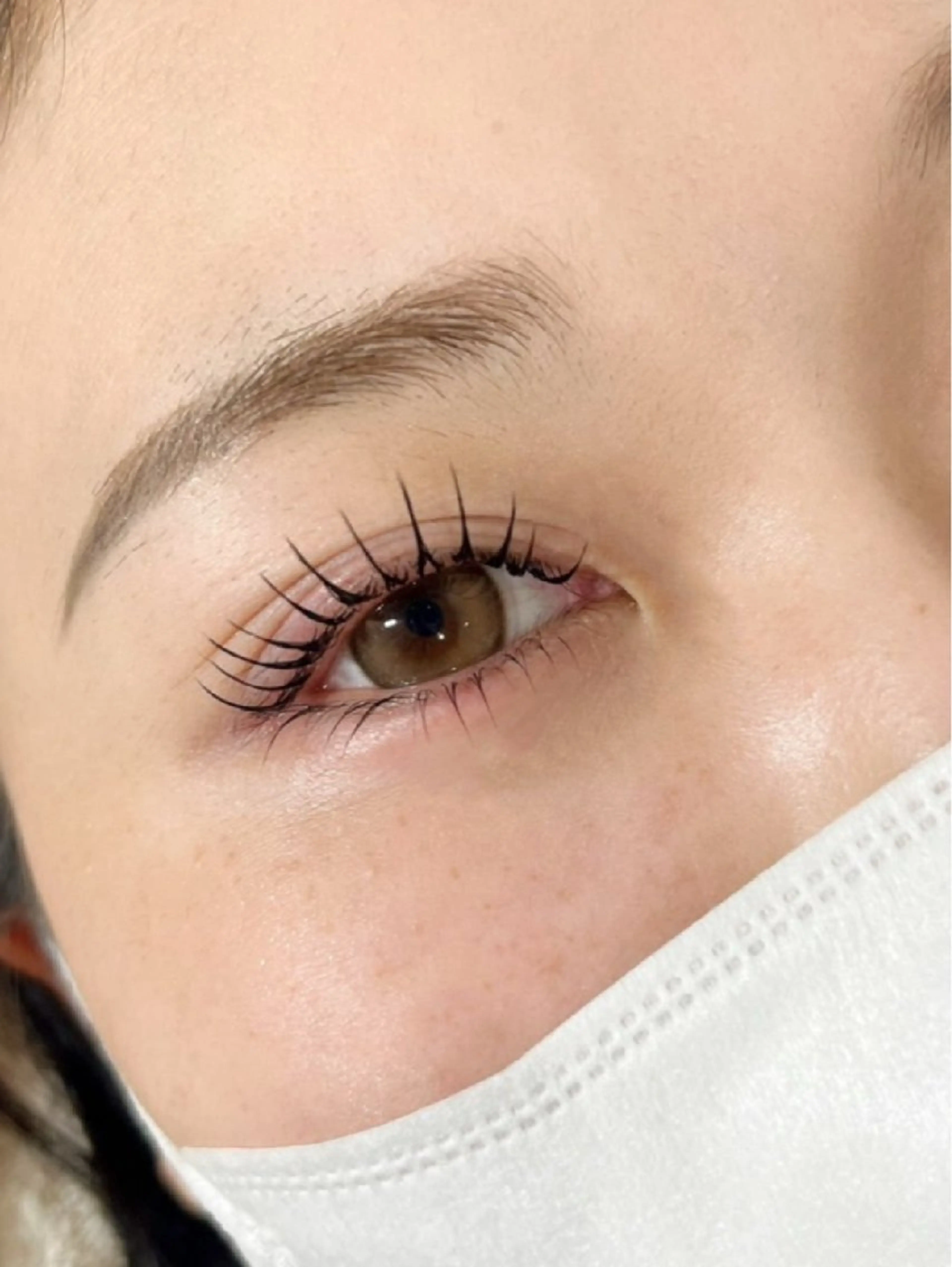 LED+フラット120本の写真