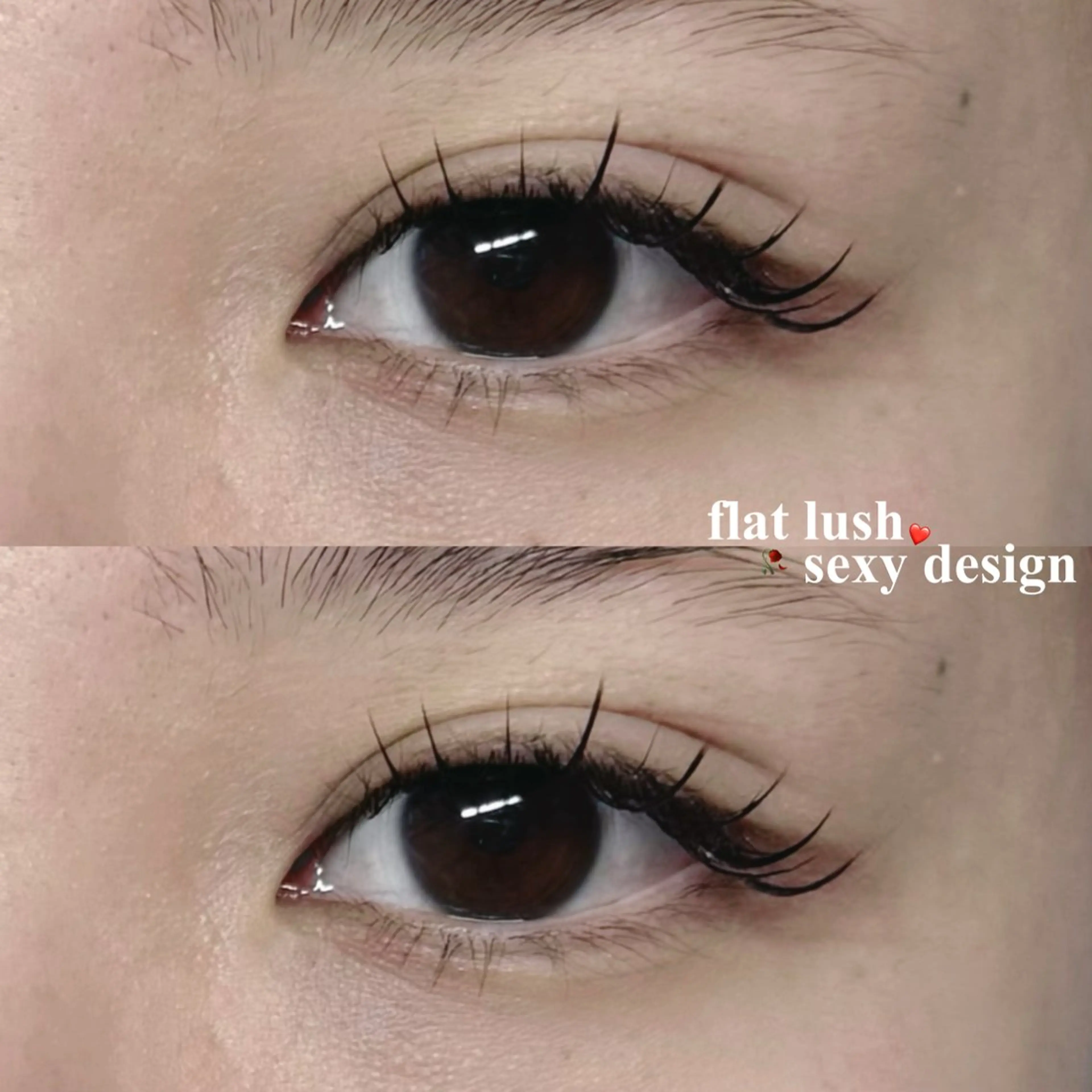 マツエク・マツパ マツエク LICO🤍 Chihoのマツエク・マツパデザイン