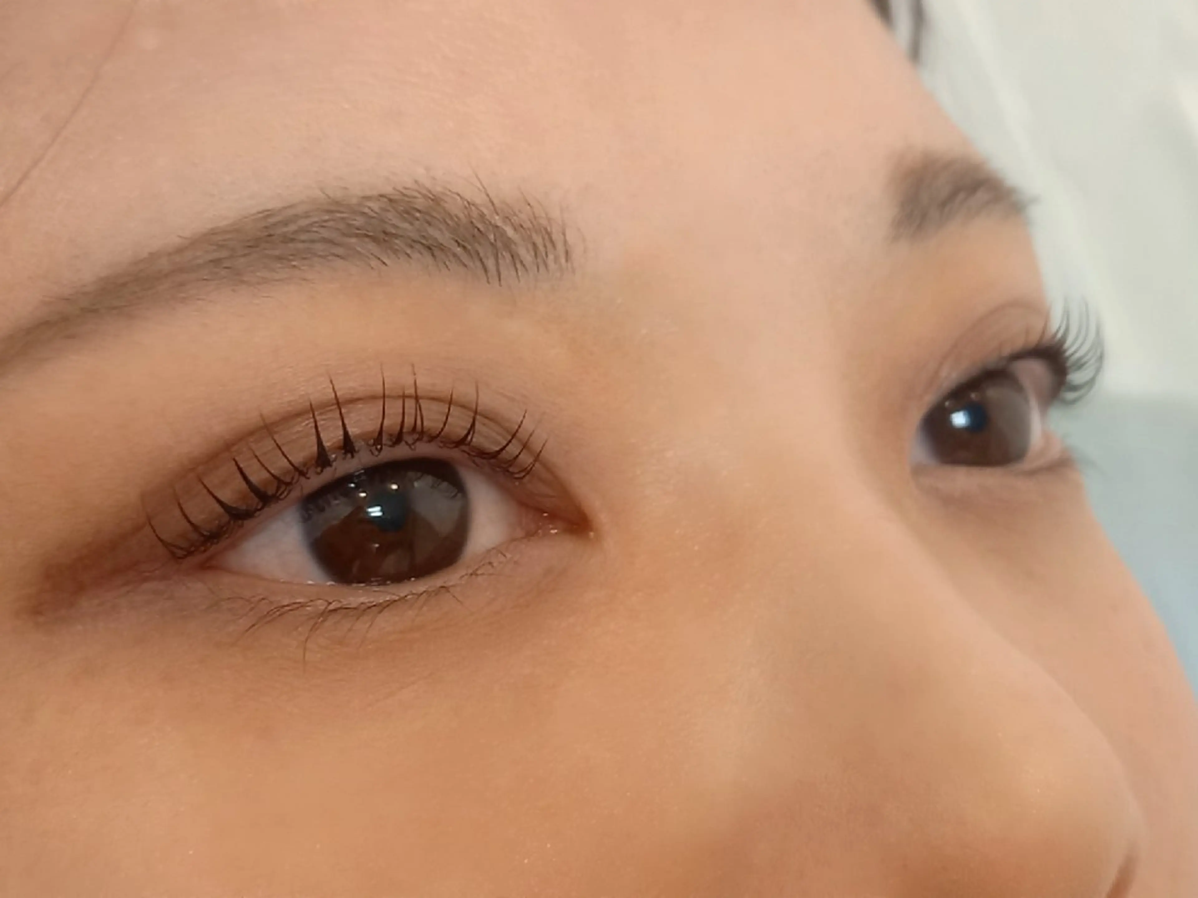 マツエク・マツパ マツパ 小筆 耀のヘアスタイル