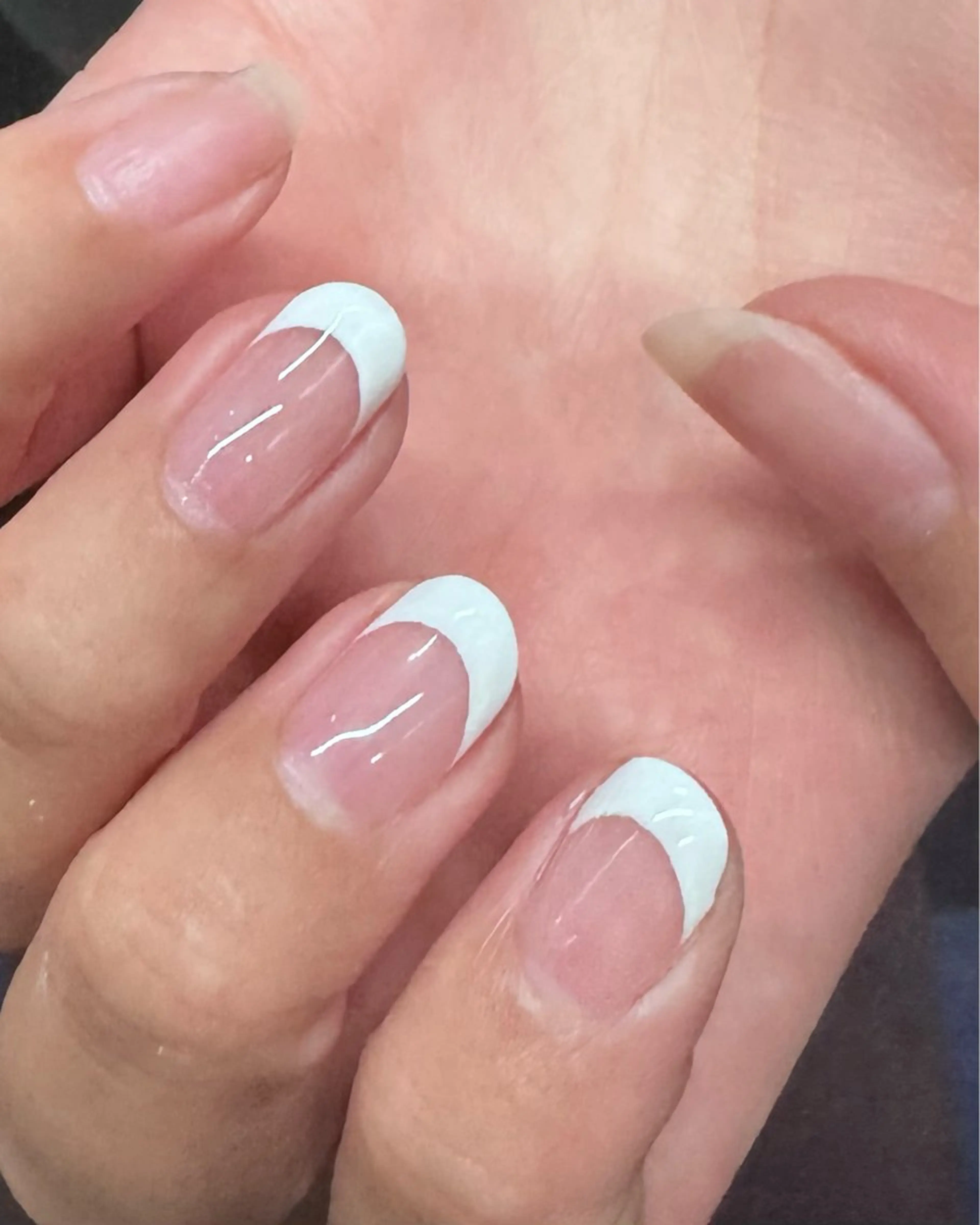 【オフなし】フレンチの写真