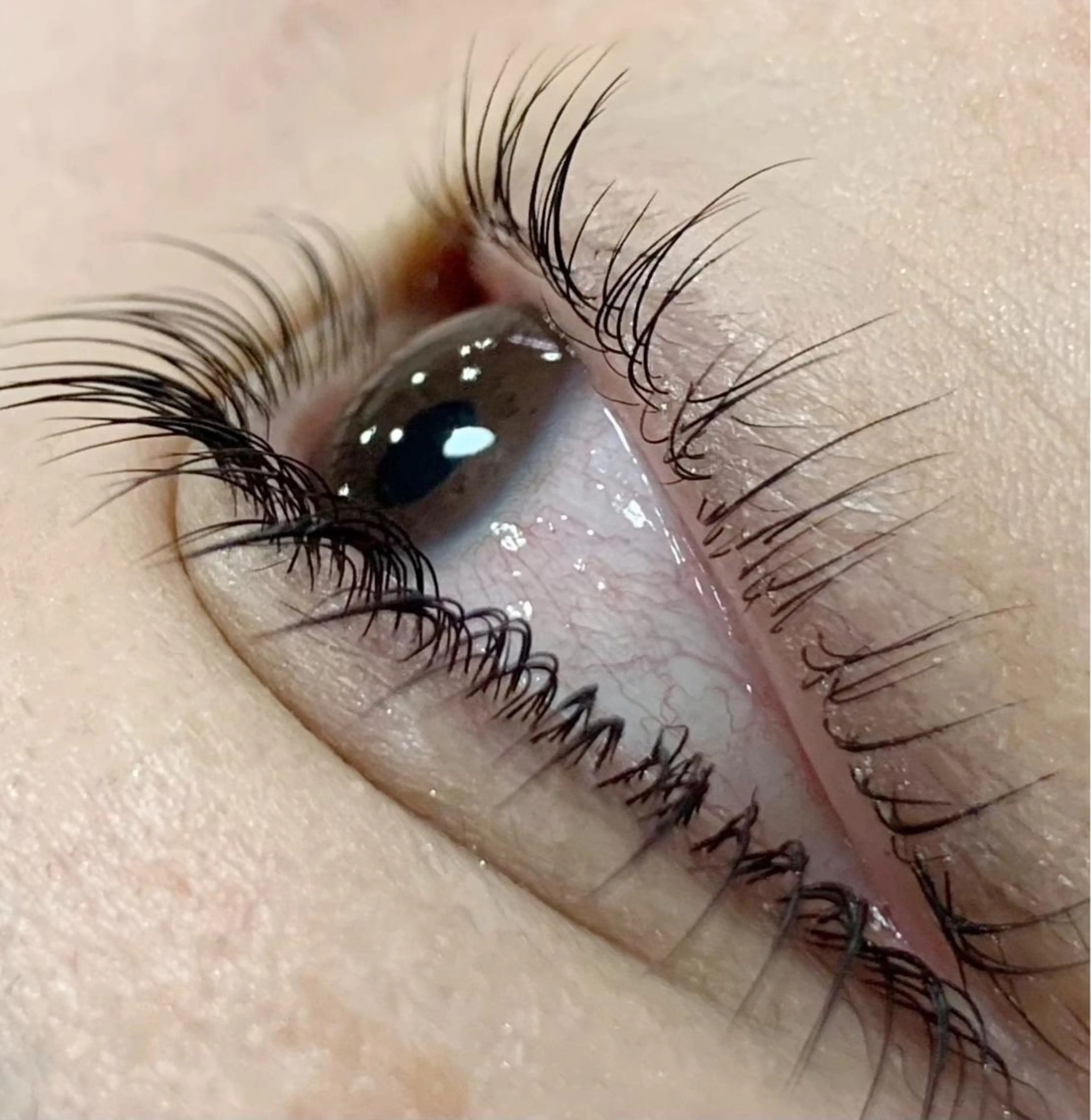 マツエク・マツパ パリジェンヌラッシュリフト Lucia Stock eyelash salon所属・Lucia 内田のマツエク・マツパデザイン