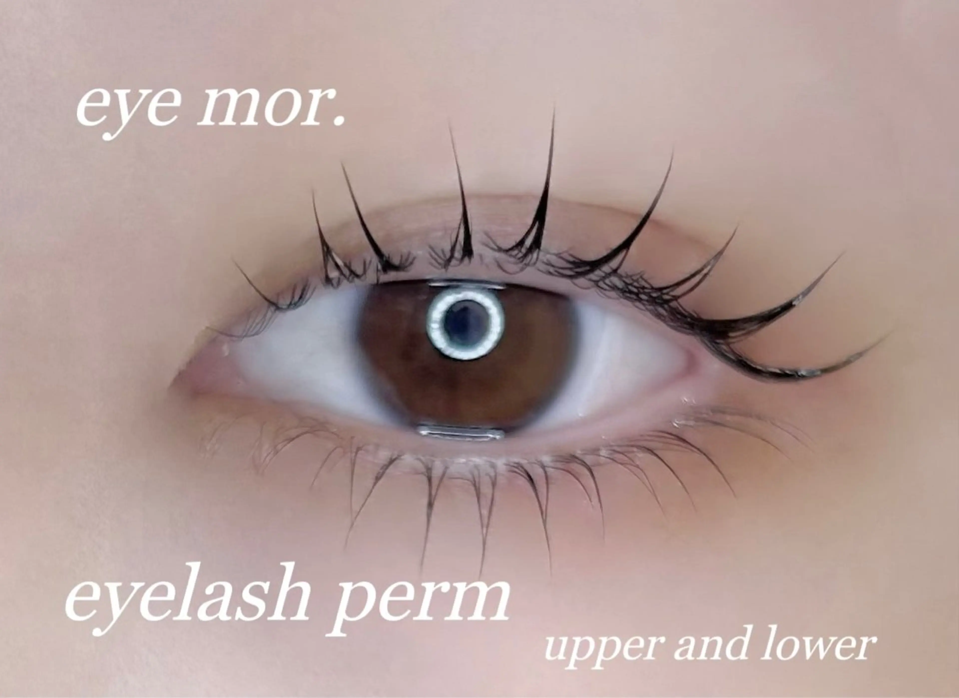 マツエク・マツパ 韓国風マツエク 一重×まつ毛パーマ eye mor. 村田のマツエク・マツパデザイン