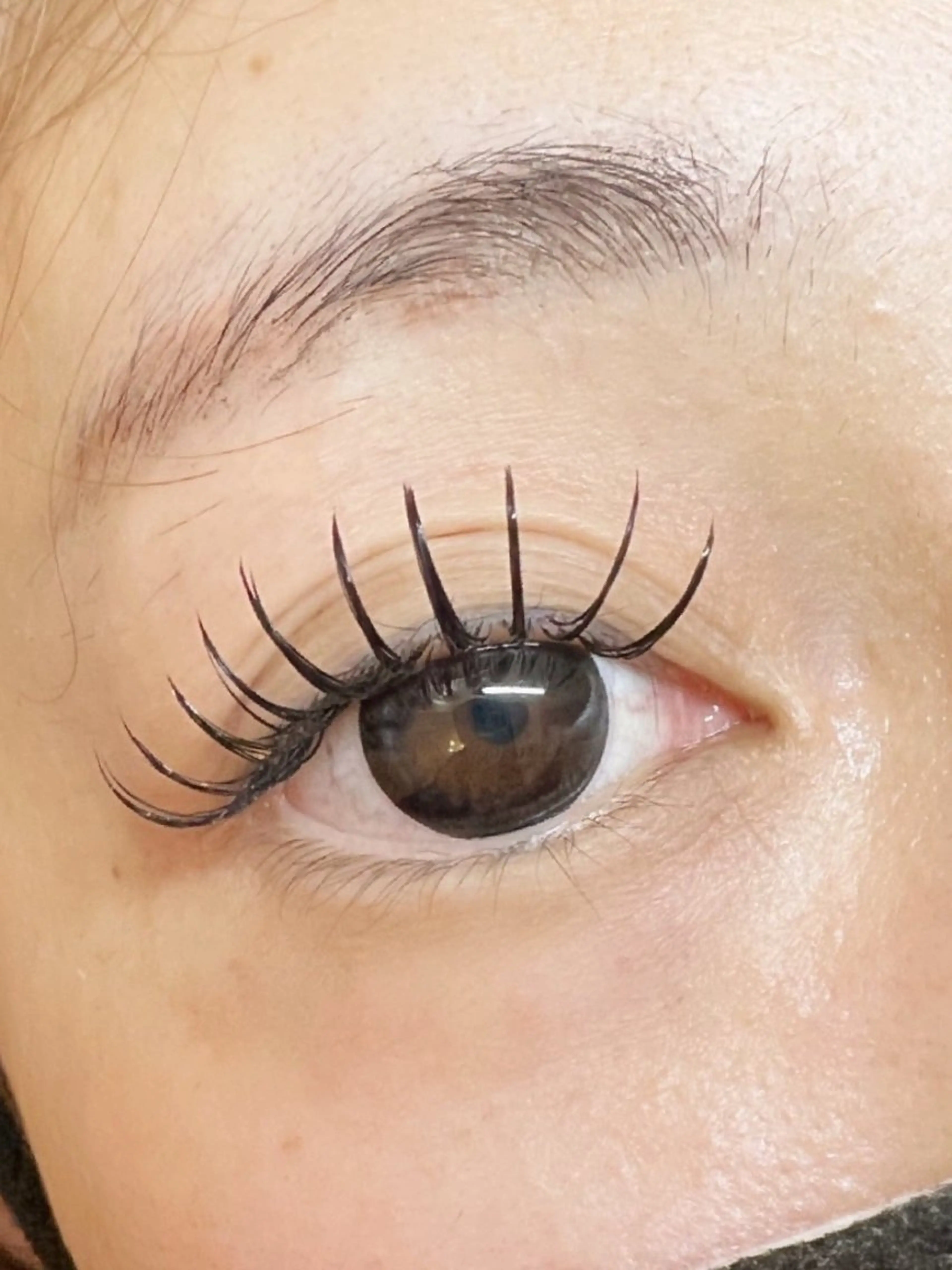 マツエク・マツパ フラットラッシュ Eyelash Hauoliのマツエク・マツパデザイン