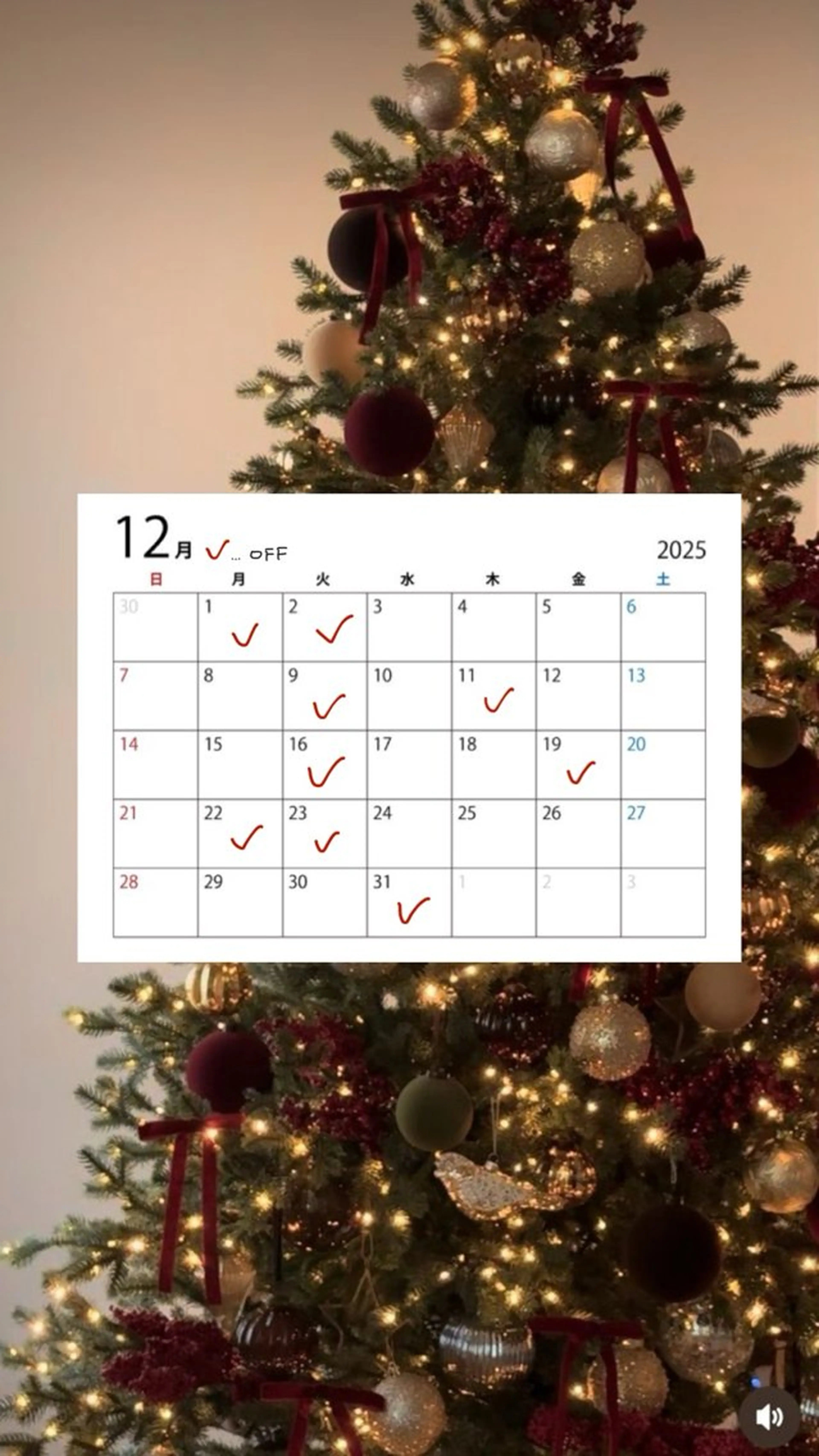 カラー ヘアカラー トリートメント uni/haruhi ☀️透明感カラーのヘアスタイル