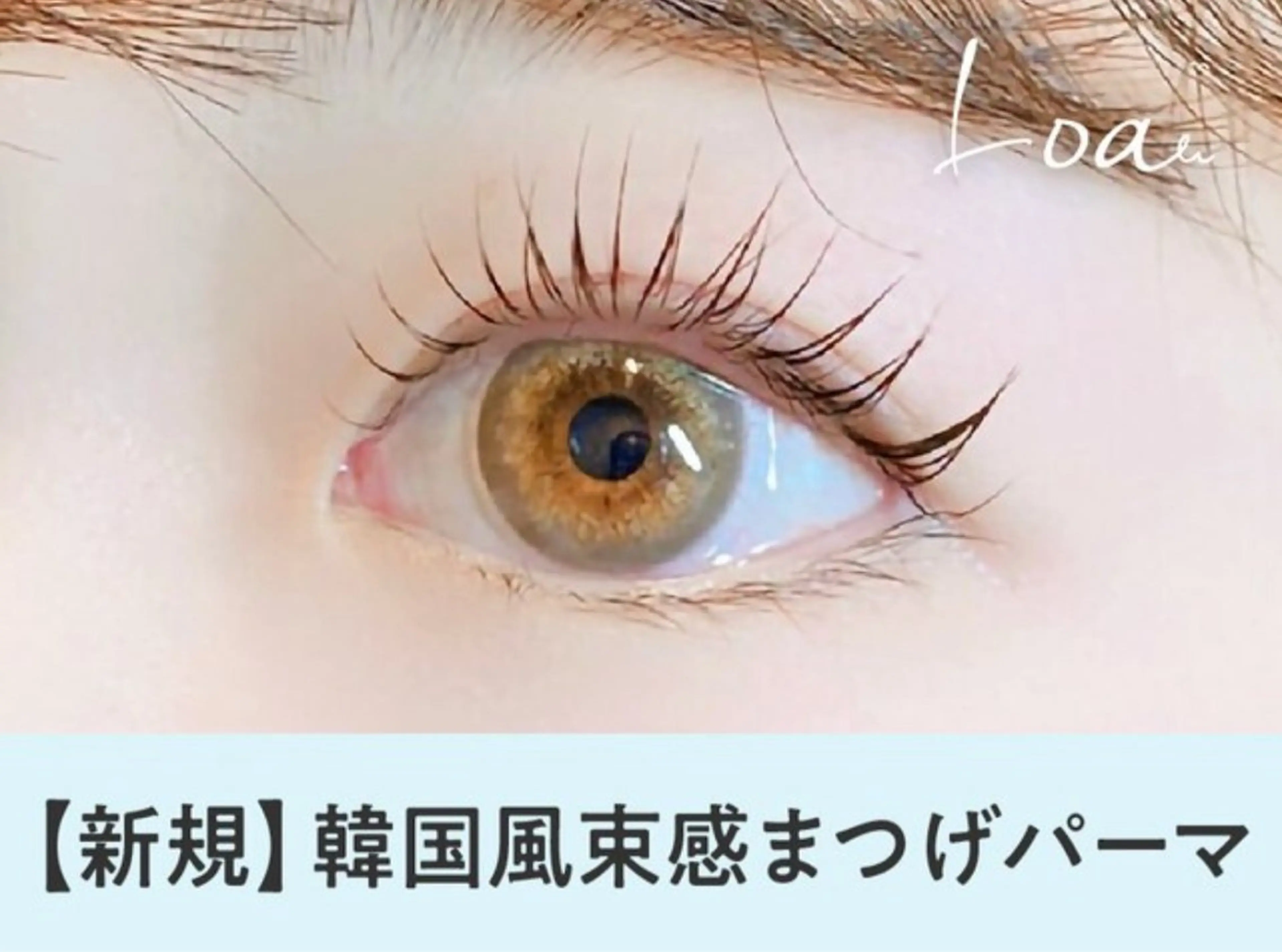 韓国束感まつげパーマの写真