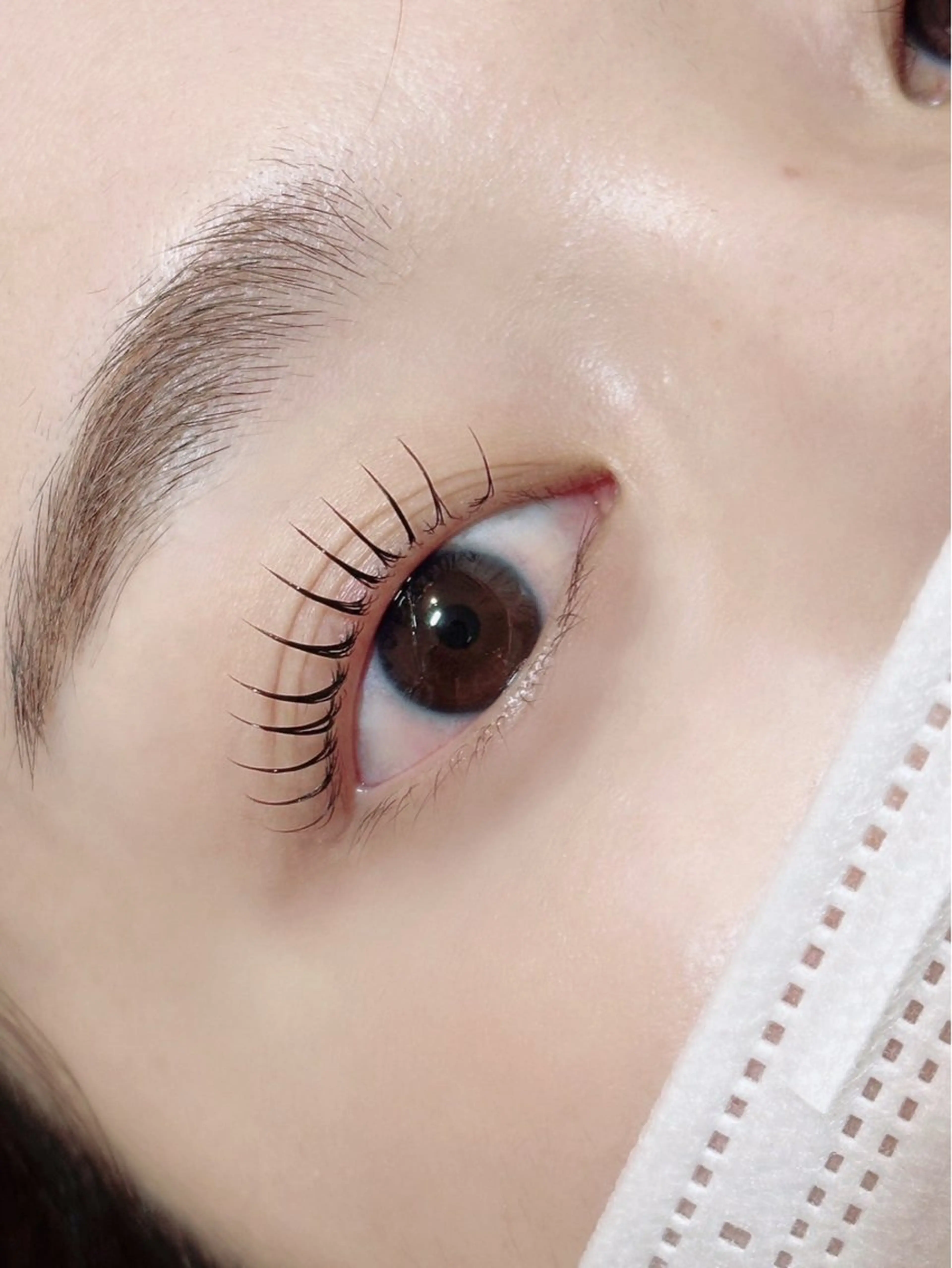 マツエク・マツパ TOP BROW 葵衣のマツエク・マツパデザイン