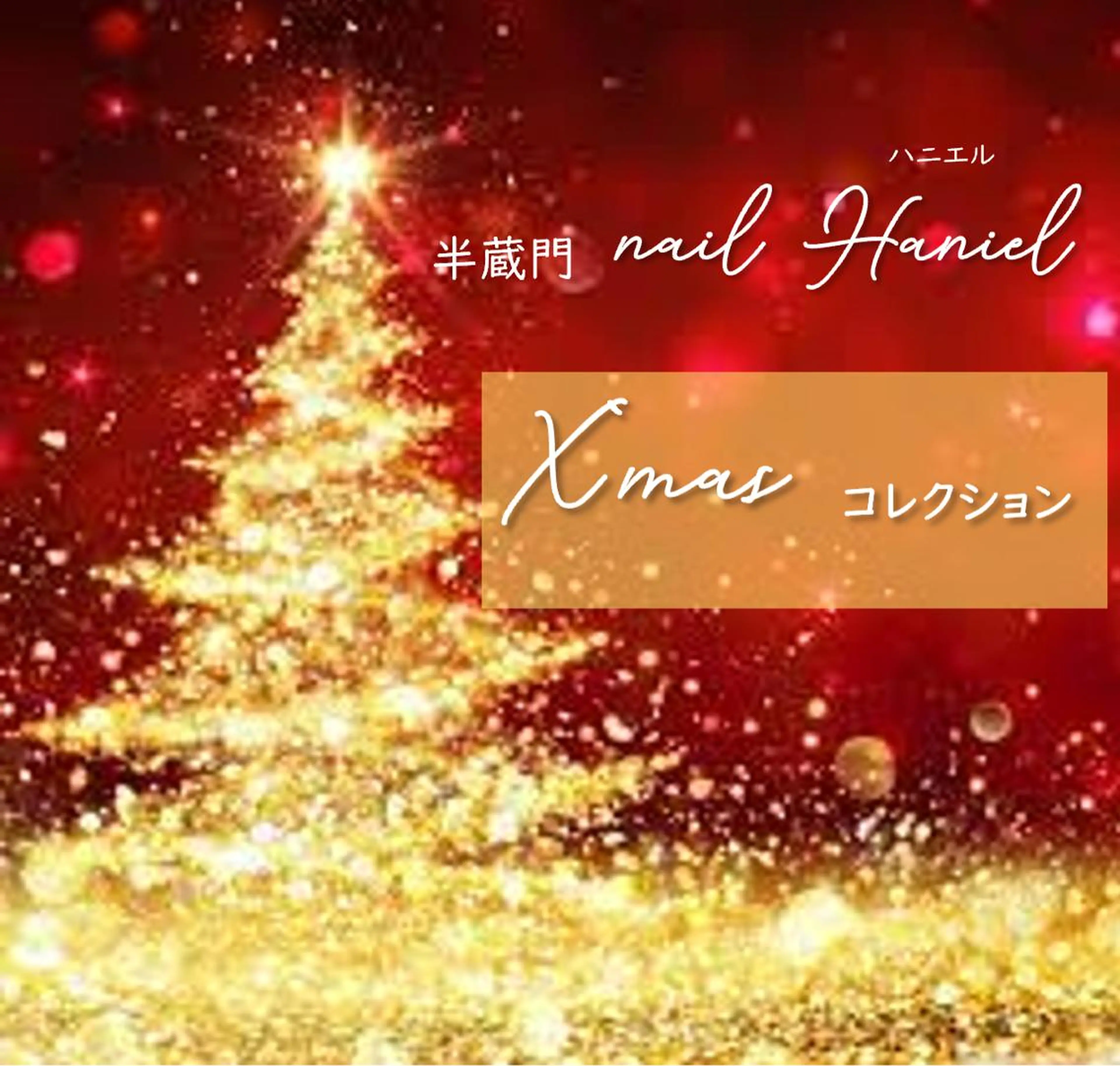 ネイル アートネイル ジェルネイル パラジェル 冬ネイル クリスマス nail Haniel所属・半蔵門サロンハニエル 魅神 ちよのネイルデザイン