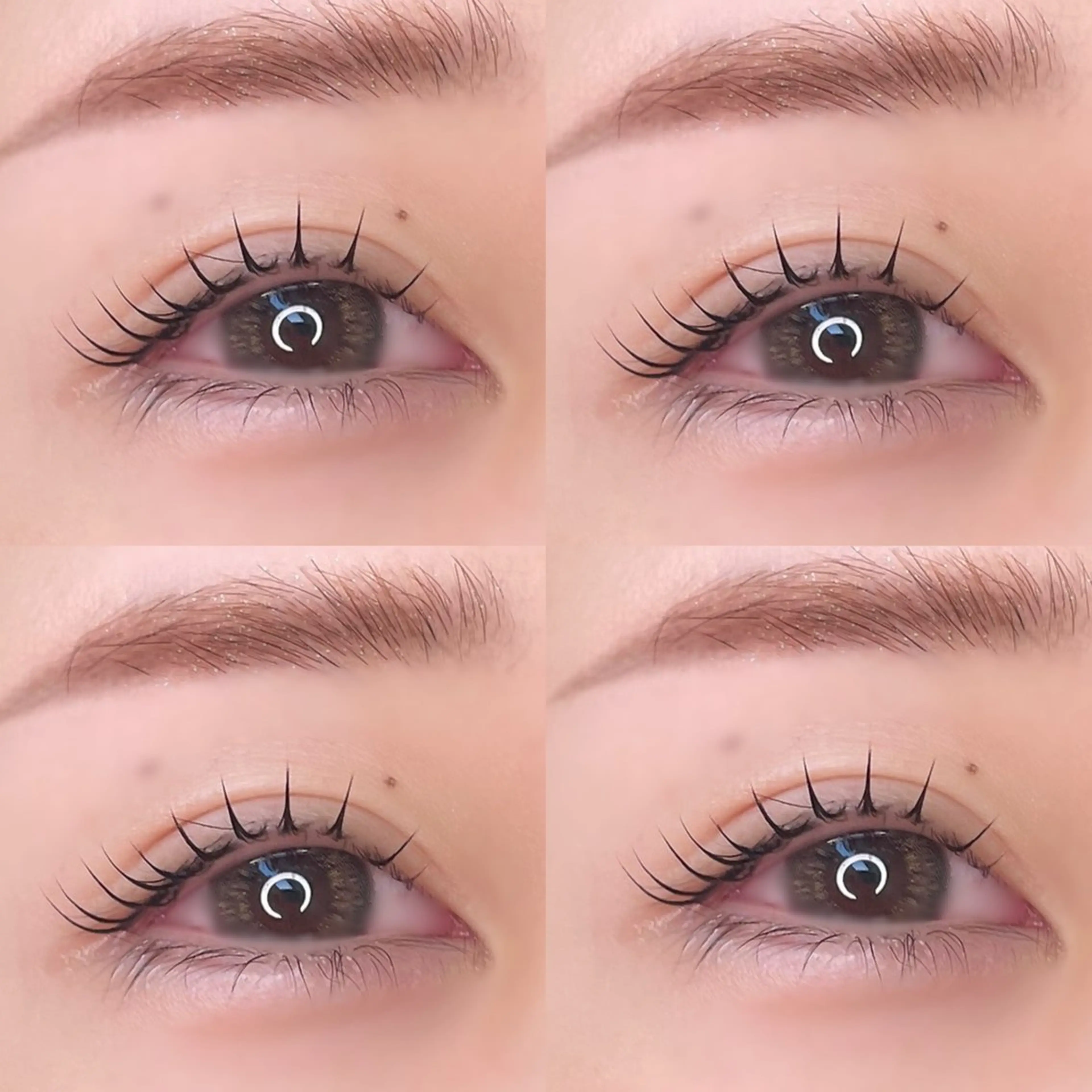 マツエク・マツパ LAUREL川崎店 ERIKO🐰束感♡のマツエク・マツパデザイン