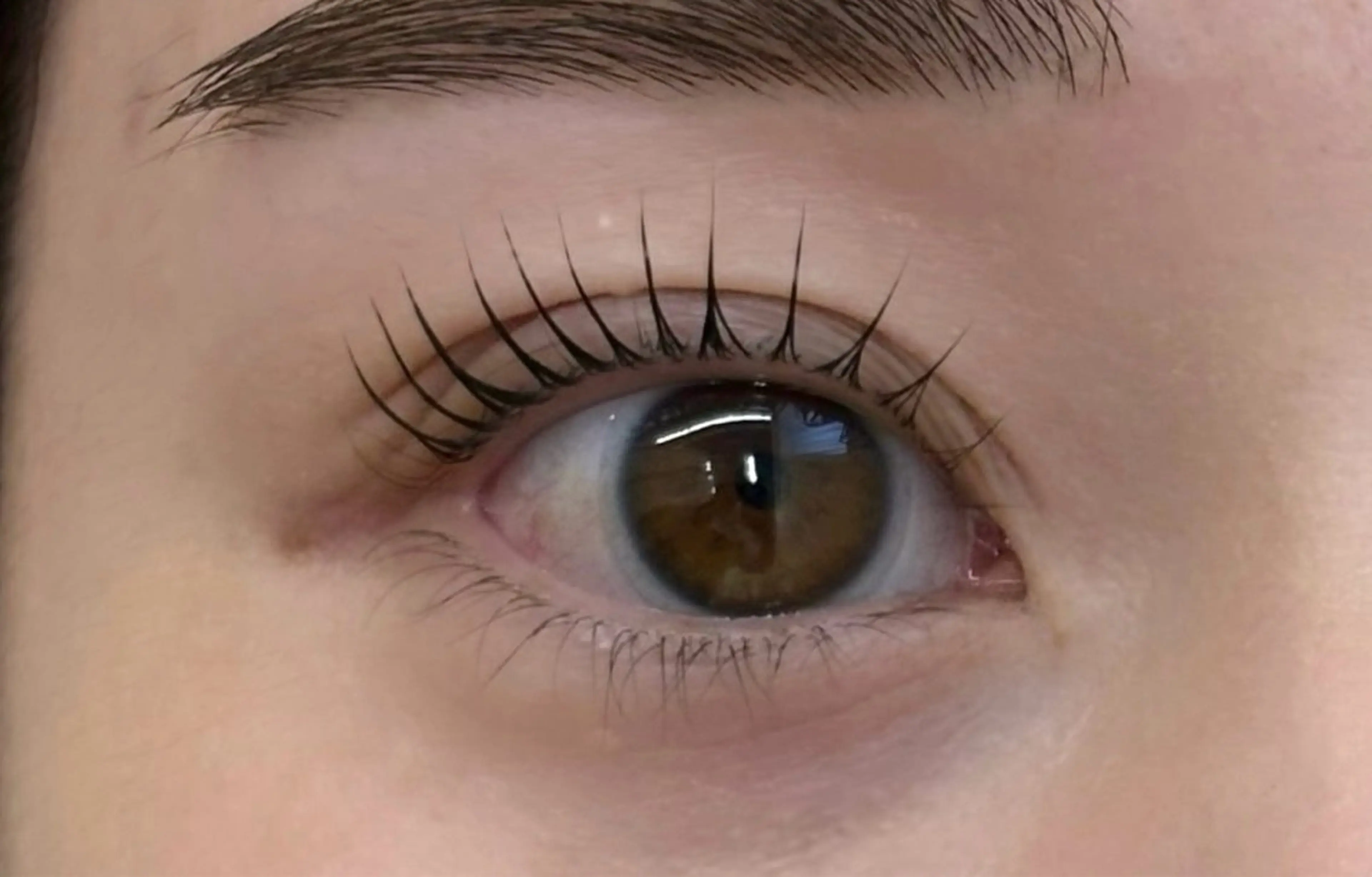 マツエク・マツパ マツパ LaBlanche ゆいの眉毛・アイブロウイメージ