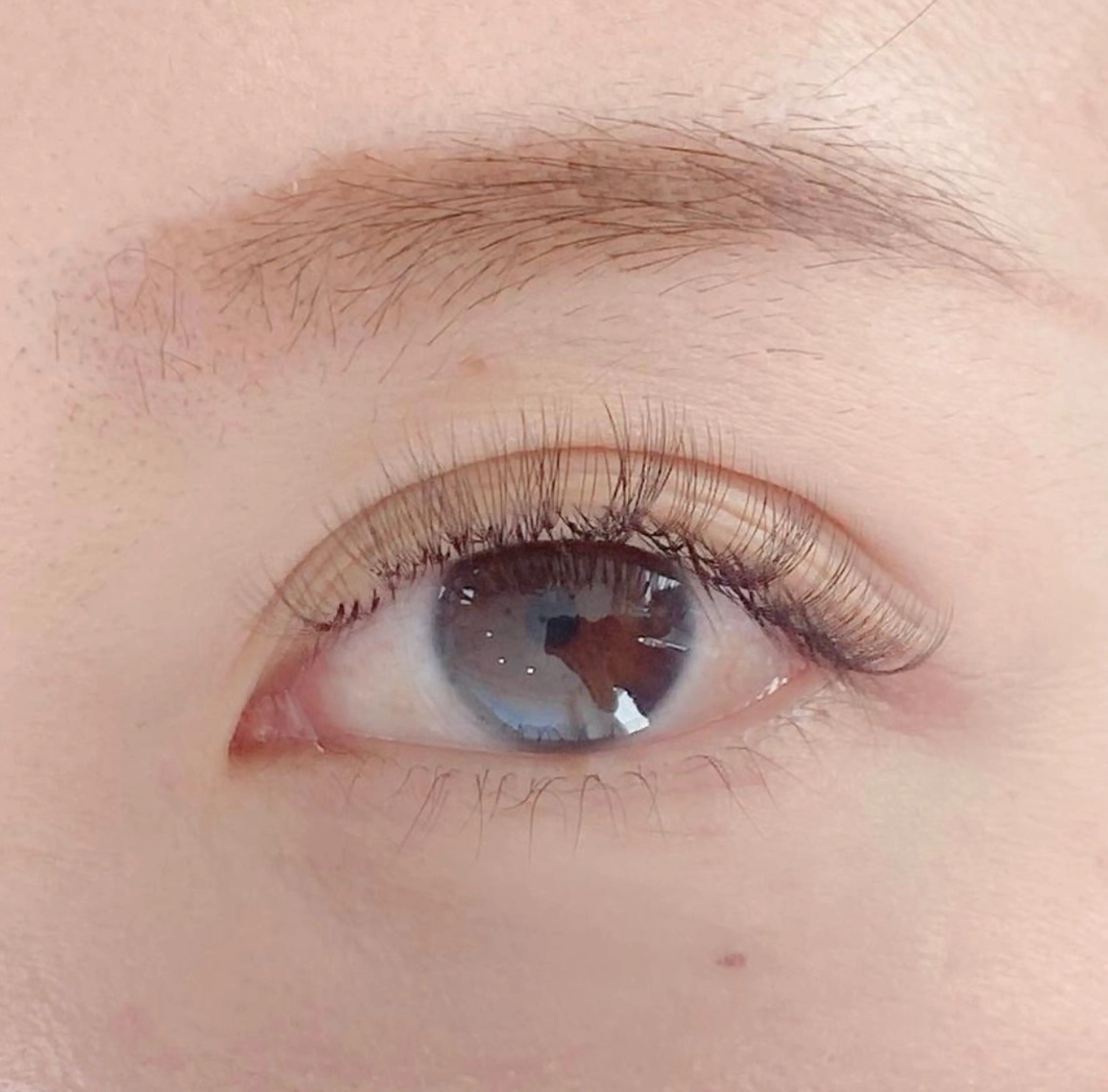 🌙平日限定3Dレイヤー 80束💜 リペア不可(オフなし🙅‍♀️)の写真