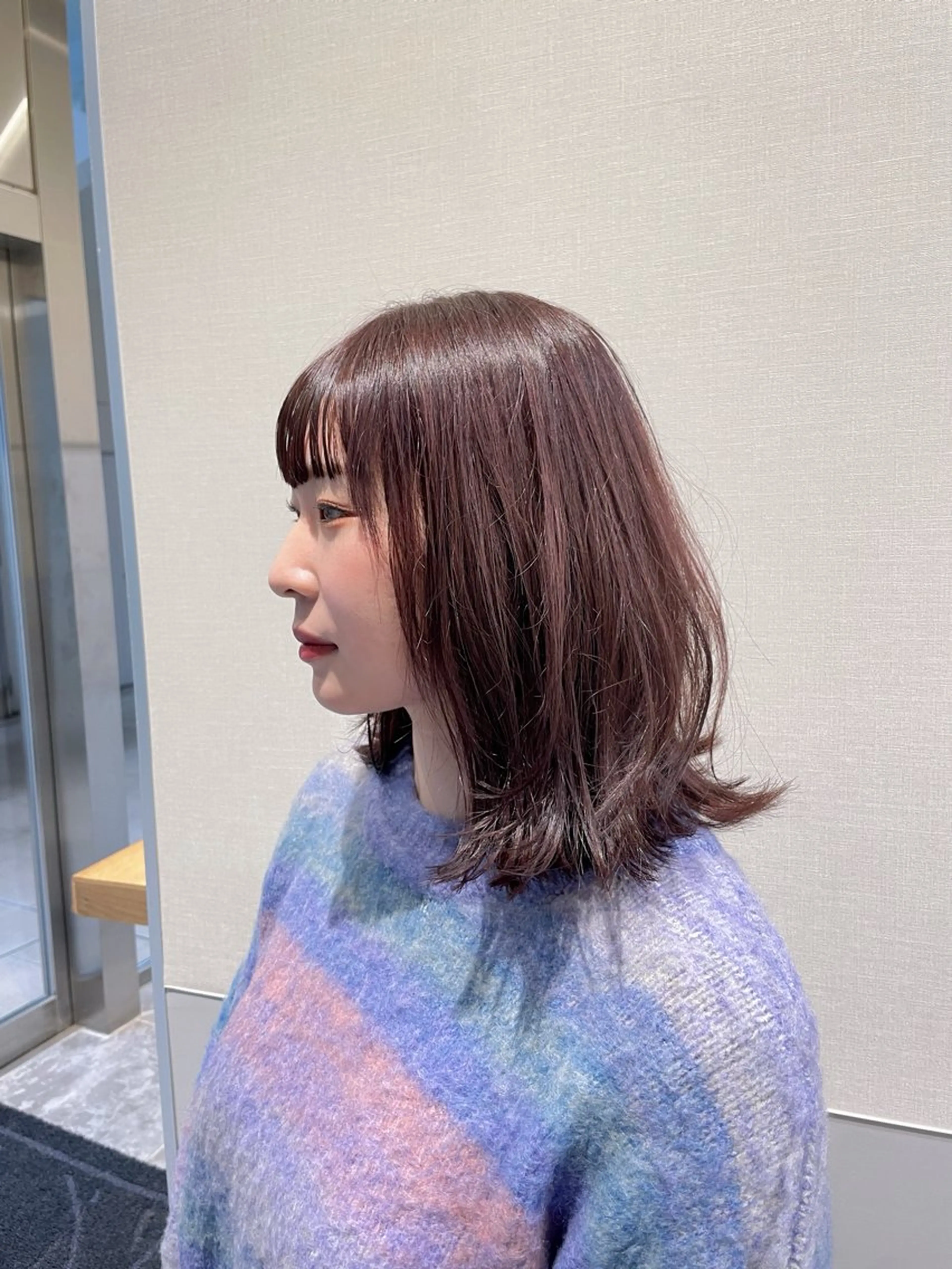 ワンカラーの写真