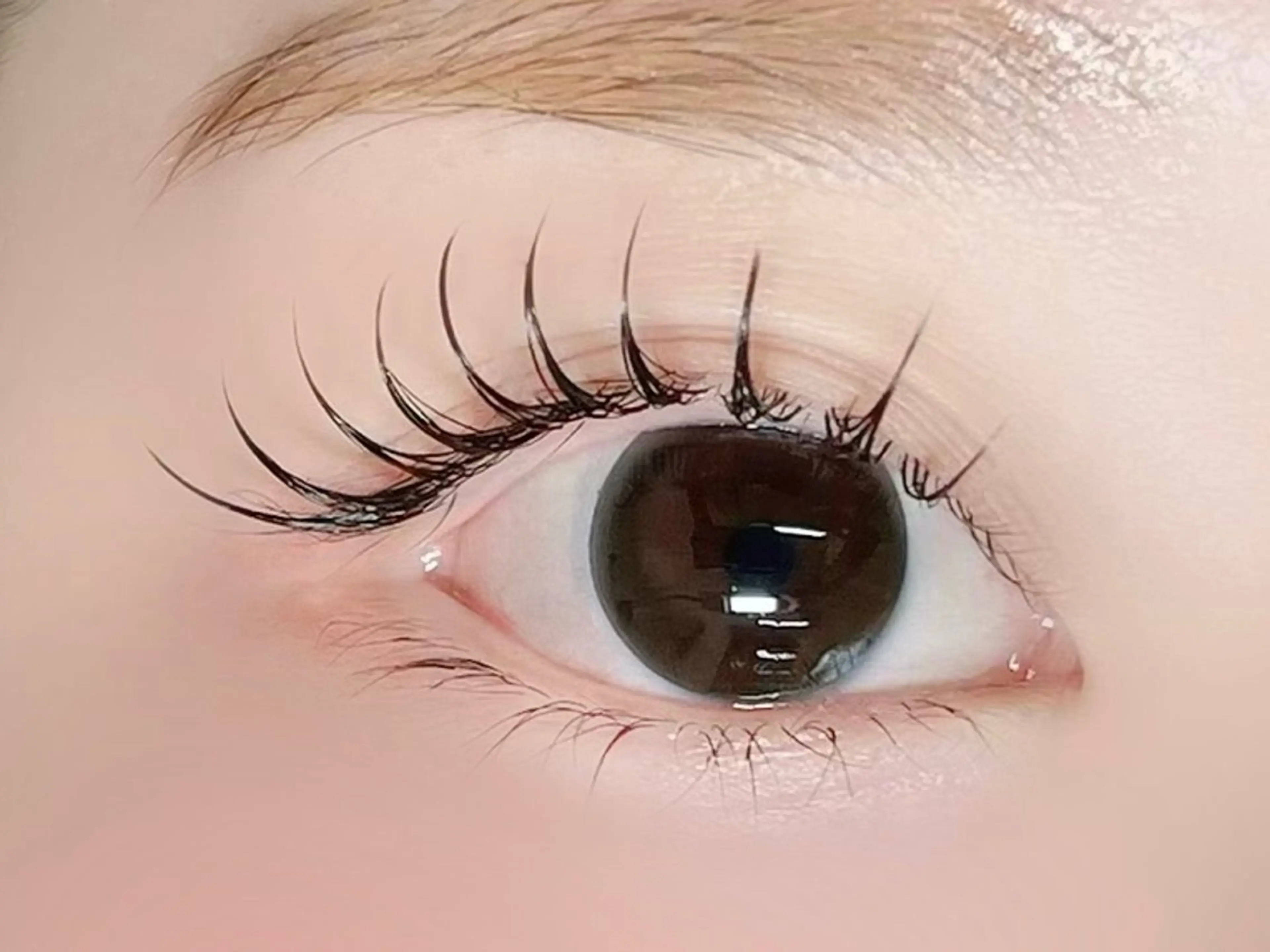 マツエク・マツパ W.eyelash所属・ダブリュー アイラッシュのマツエク・マツパデザイン