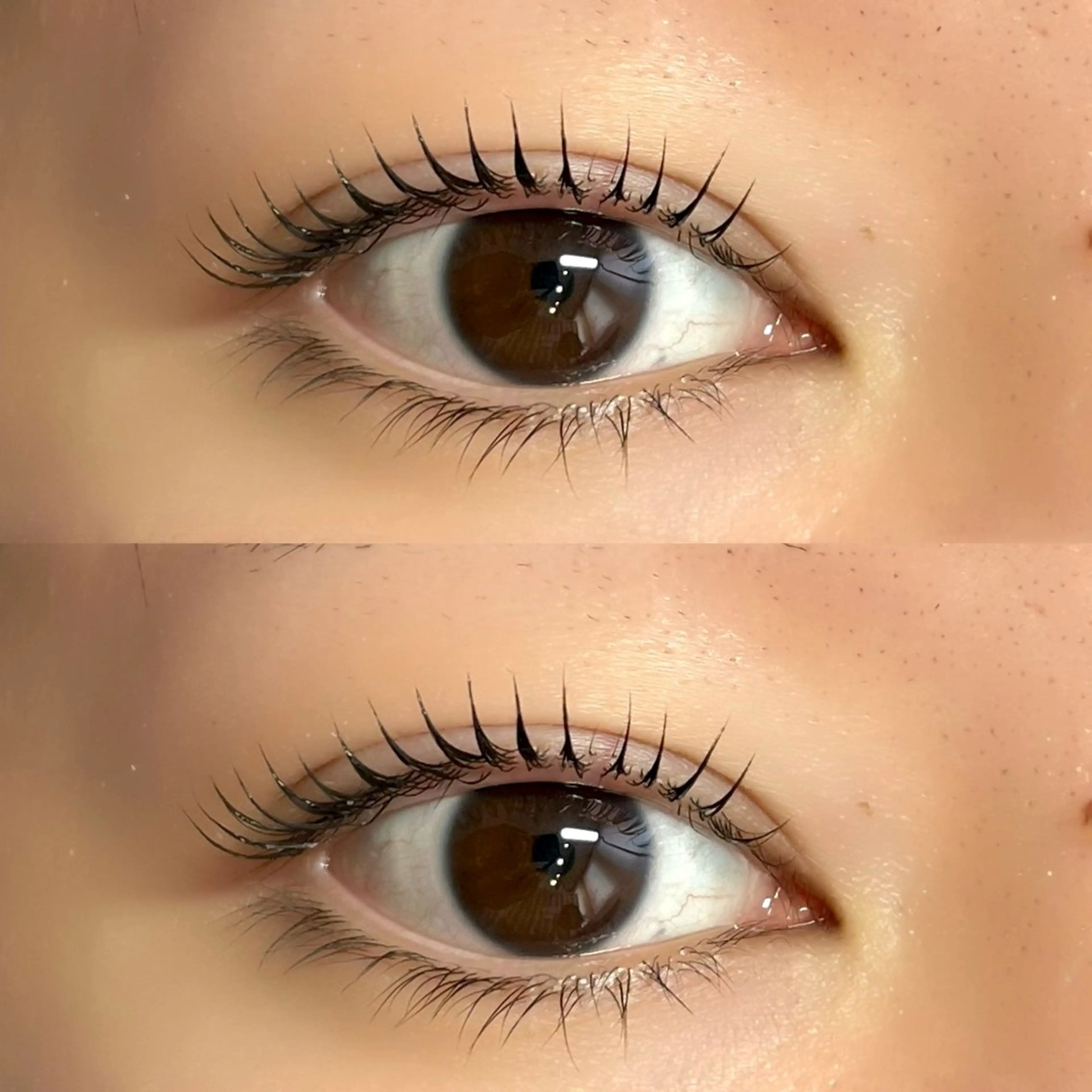 マツエク・マツパ Cカール マツパ Lupines🫧 MONEのマツエク・マツパデザイン